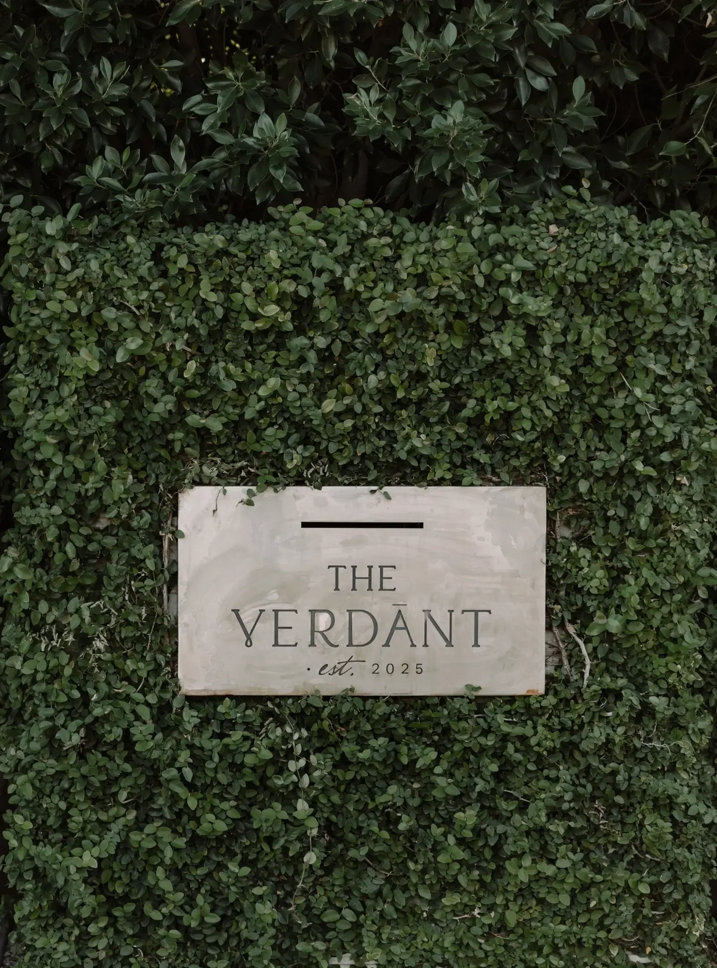 scottsdale-luxury-vacation-rentals-the-verdant-sign-day.webp