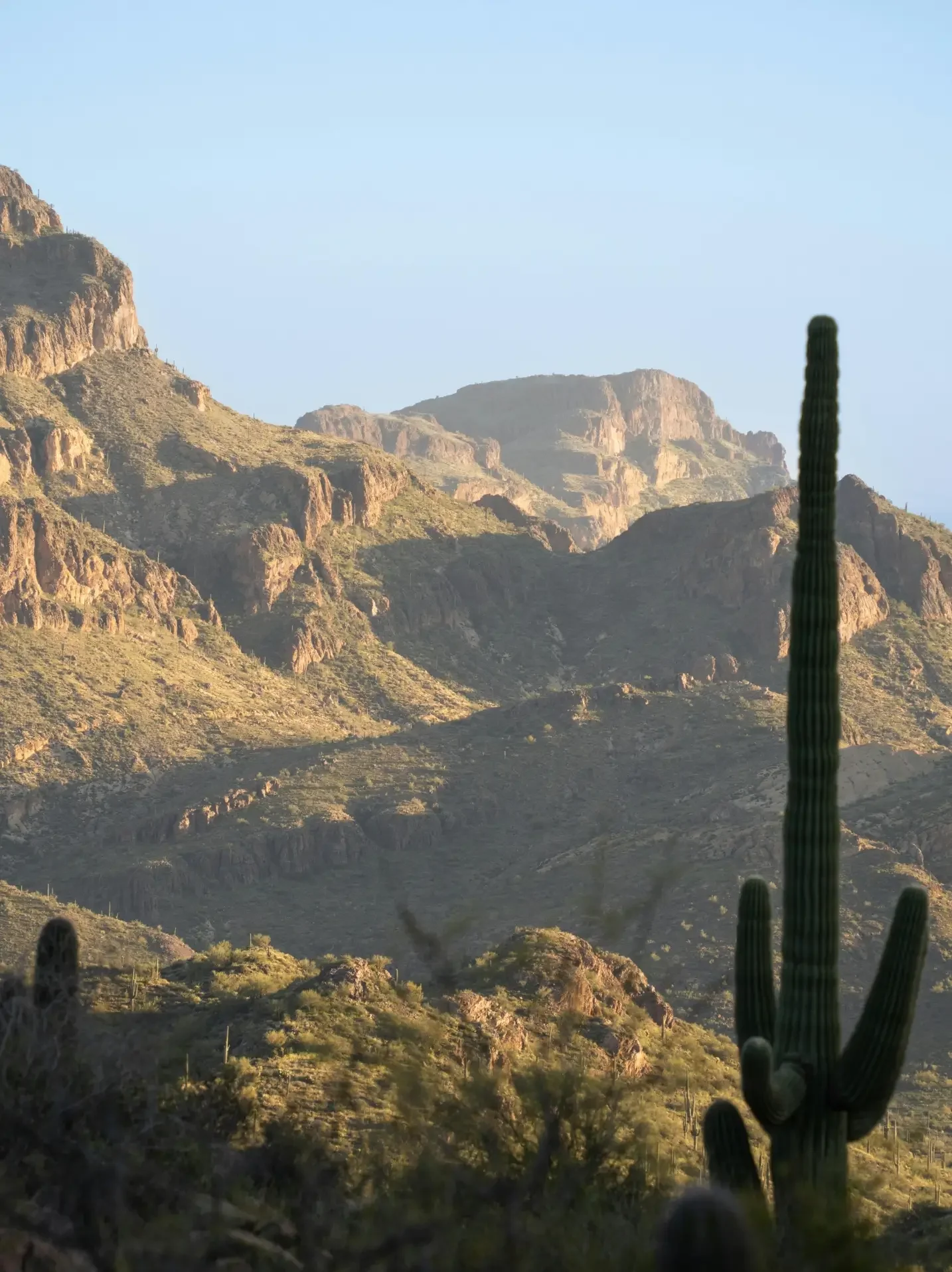 Desert landscape with rugged mountains, a green saguaro cactus in the foreground, and clear blue sky.