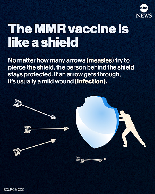 Illustration showing a person pushing a shield labeled 'The MMR vaccine is like a shield' to block arrows symbolizing diseases, with some arrows bouncing off and one behind the shield to represent protection from infection.