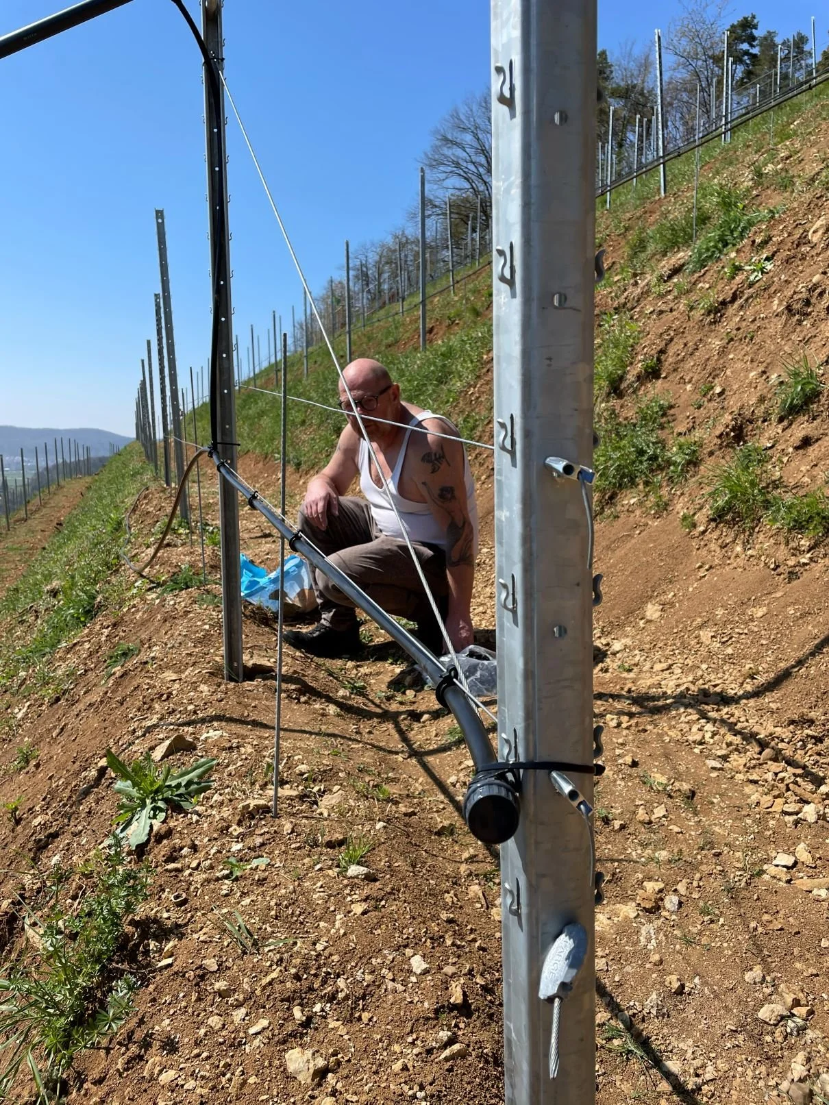   Die ersten beiden Drähte werden eingezogen.  