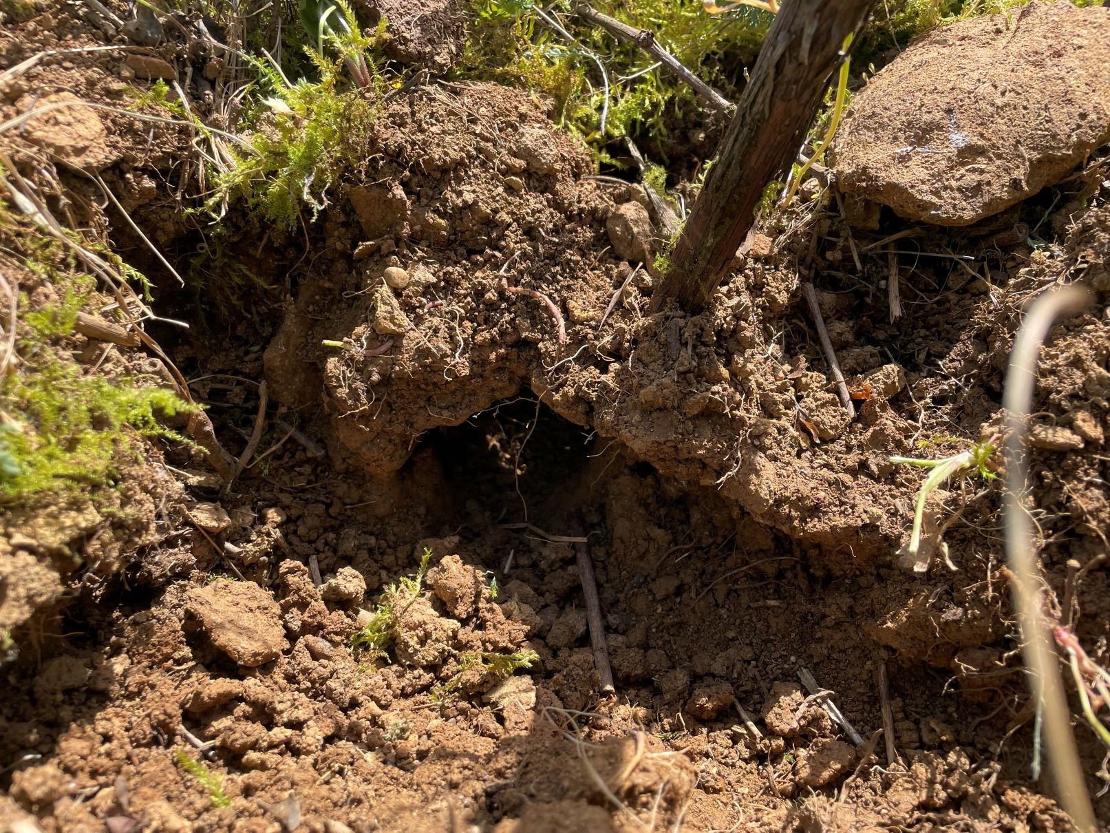 Biodiversität 5_k.jpg