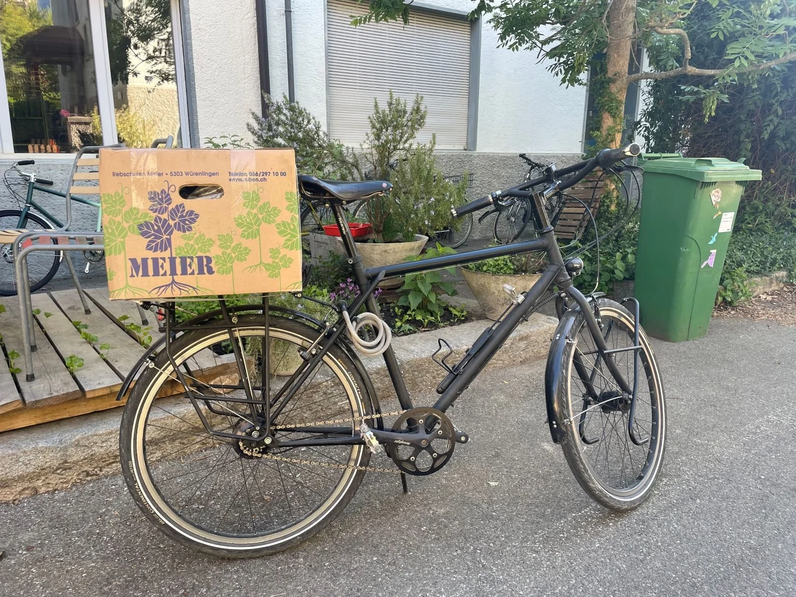  Velotransport der jungen Reben von Baden nach Birmenstorf 