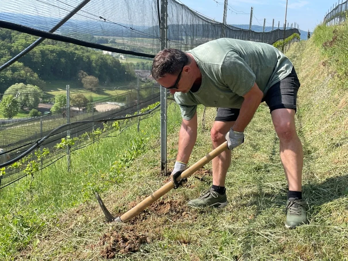  Knochenarbeit mit der Spitzhacke bei fast 30 Grad. 