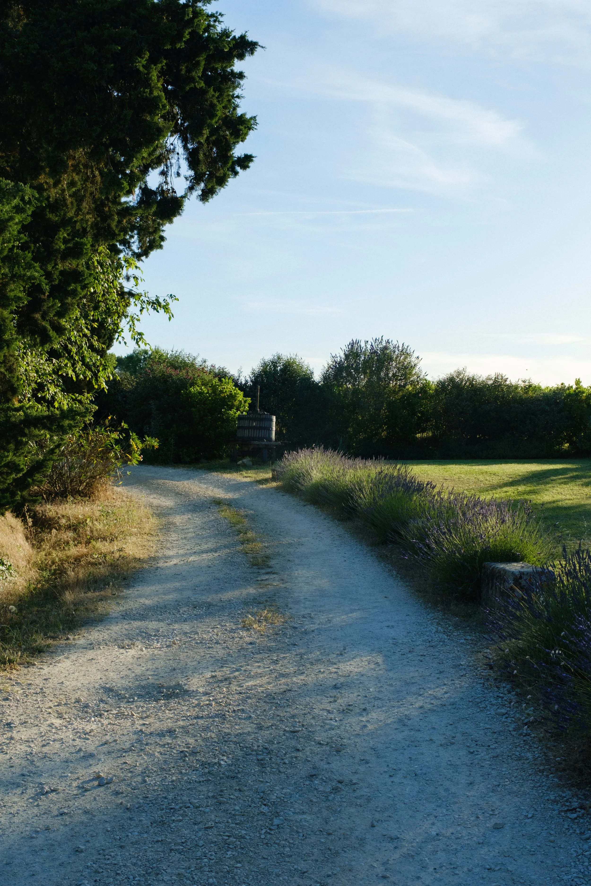 DSCF3239.jpg