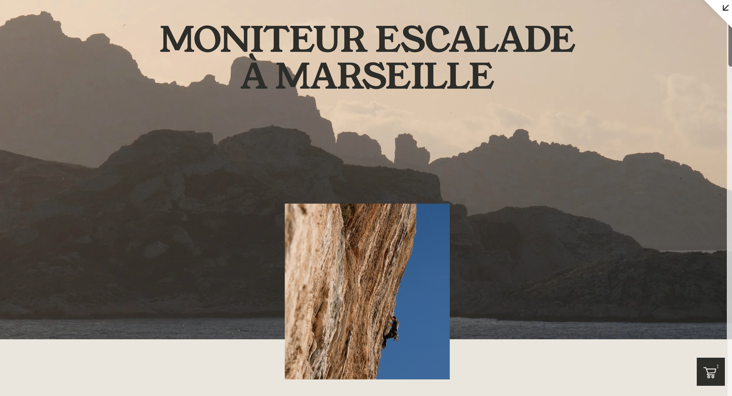 Une photo d'un grimpeur escaladant une paroi rocheuse, avec une montagne en arrière-plan.