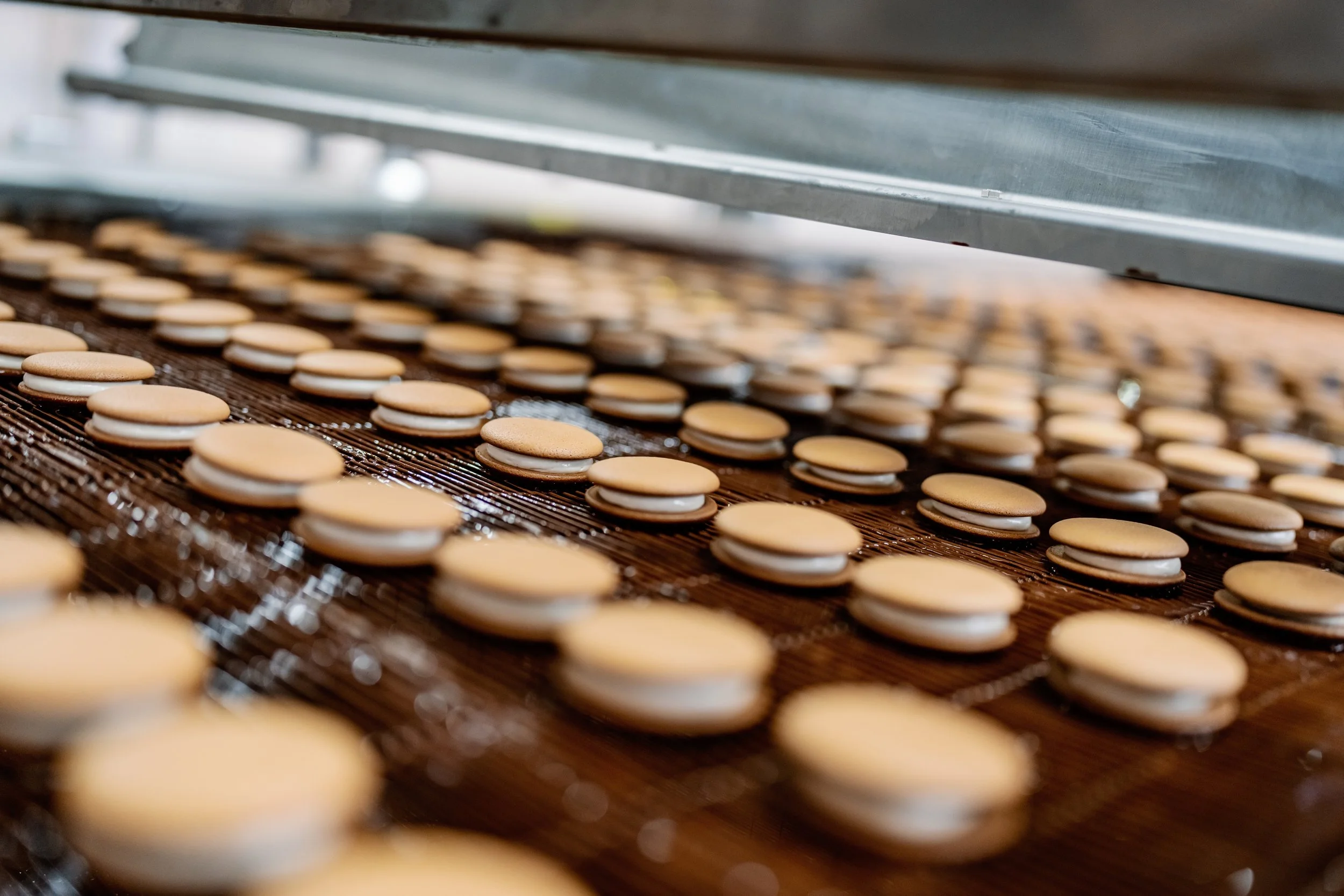 Cookies on a conveyor belt in a bakery or manufacturing facility.