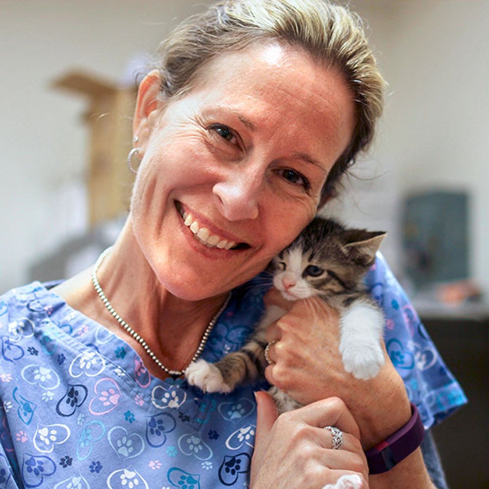 Dr. Laurie Peek, Chief Veterinary Officer at Liberty Dogs, smiling and holding a kitten