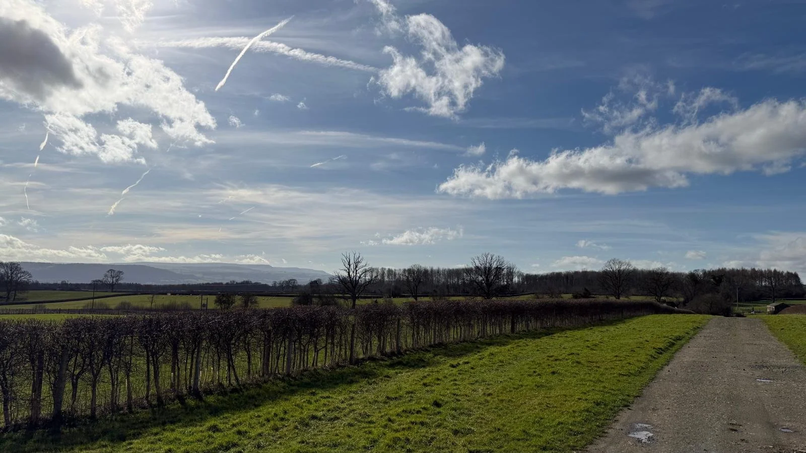 WhatsApp Image entrane.jpeg