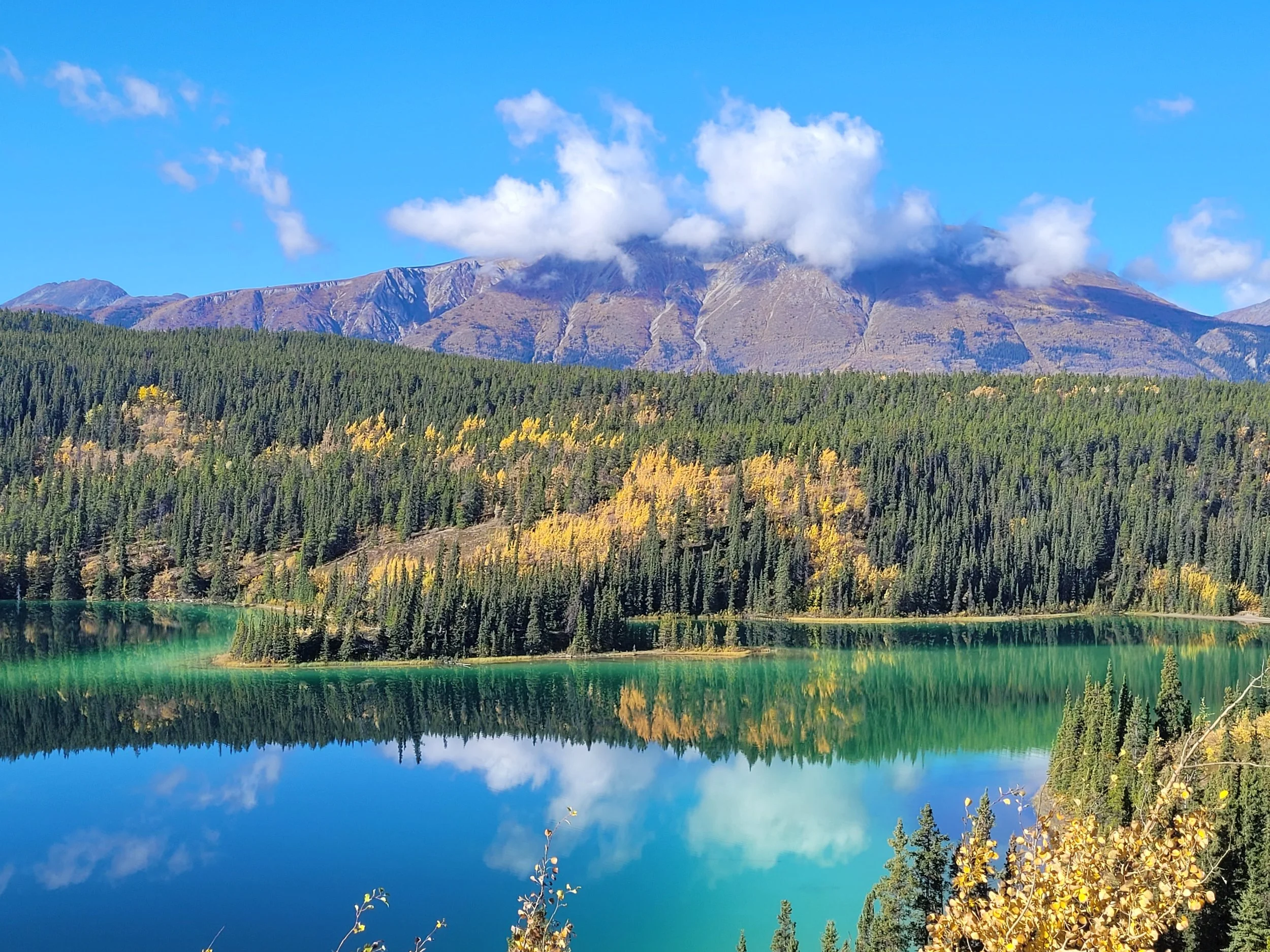 Scenic view of a mountain with clouds, surrounded by a dense forest of evergreen and deciduous trees, reflected in a calm lake with a vibrant blue sky.