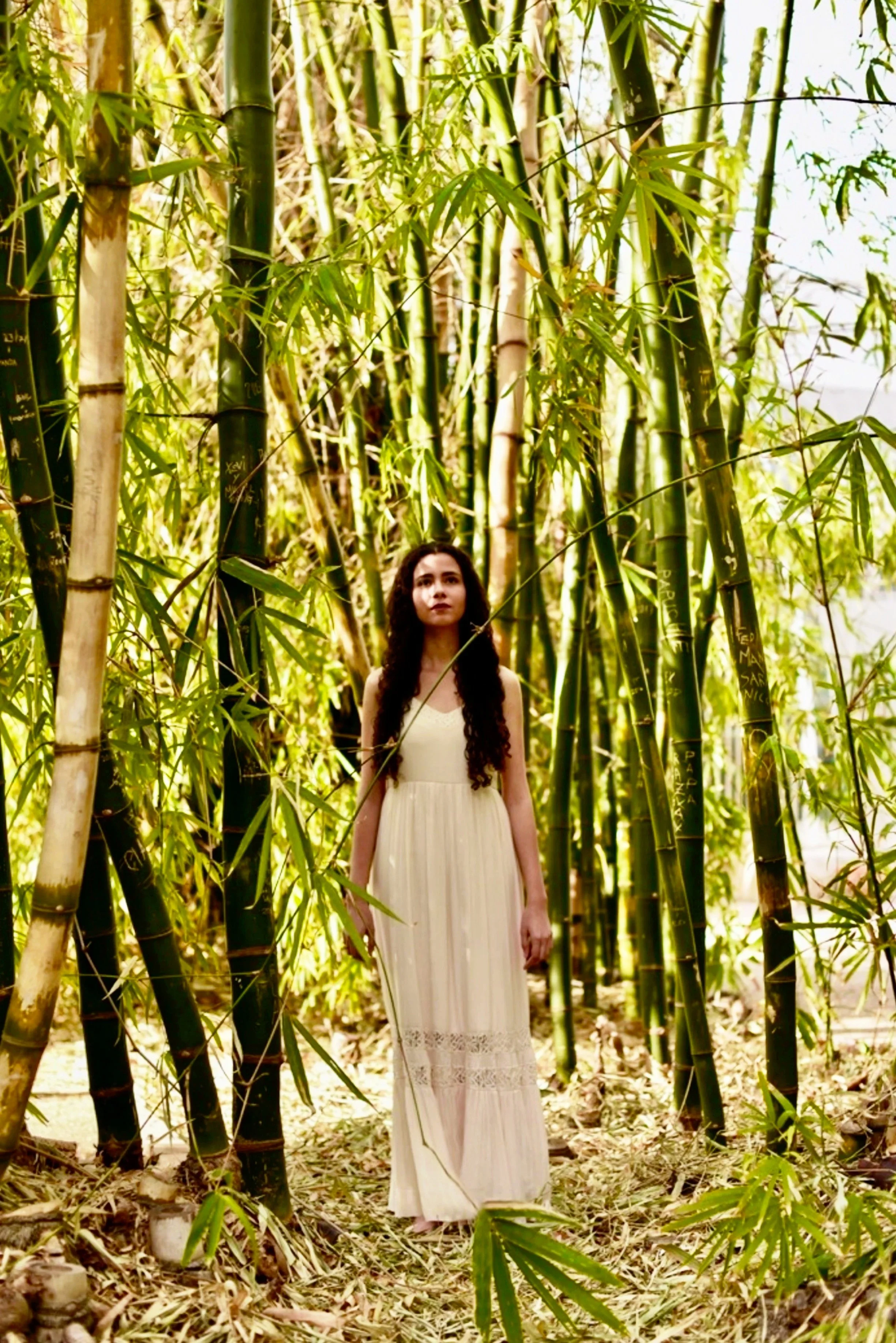 A young woman in a long, white dress standing among tall bamboo stalks in a forest.