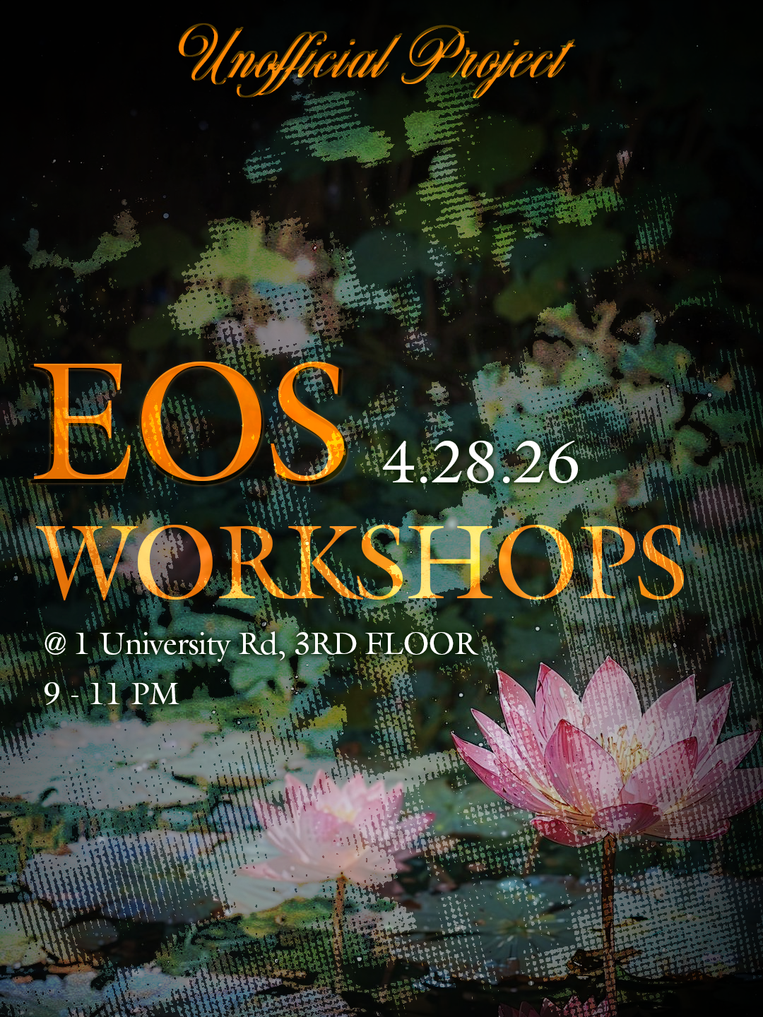 workshops SAO.png