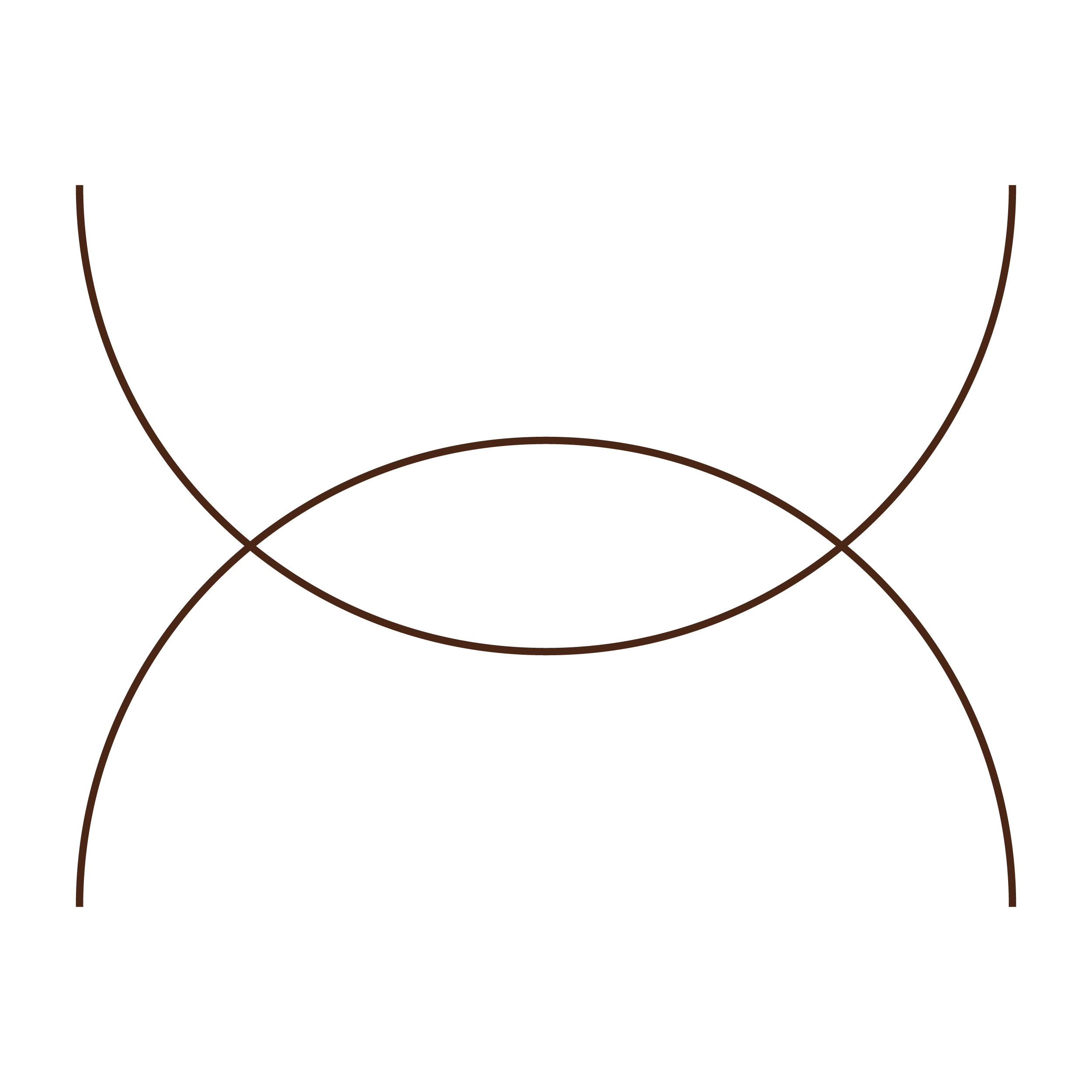 An abstract black background with brown curved lines crossing each other creating an artistic design.