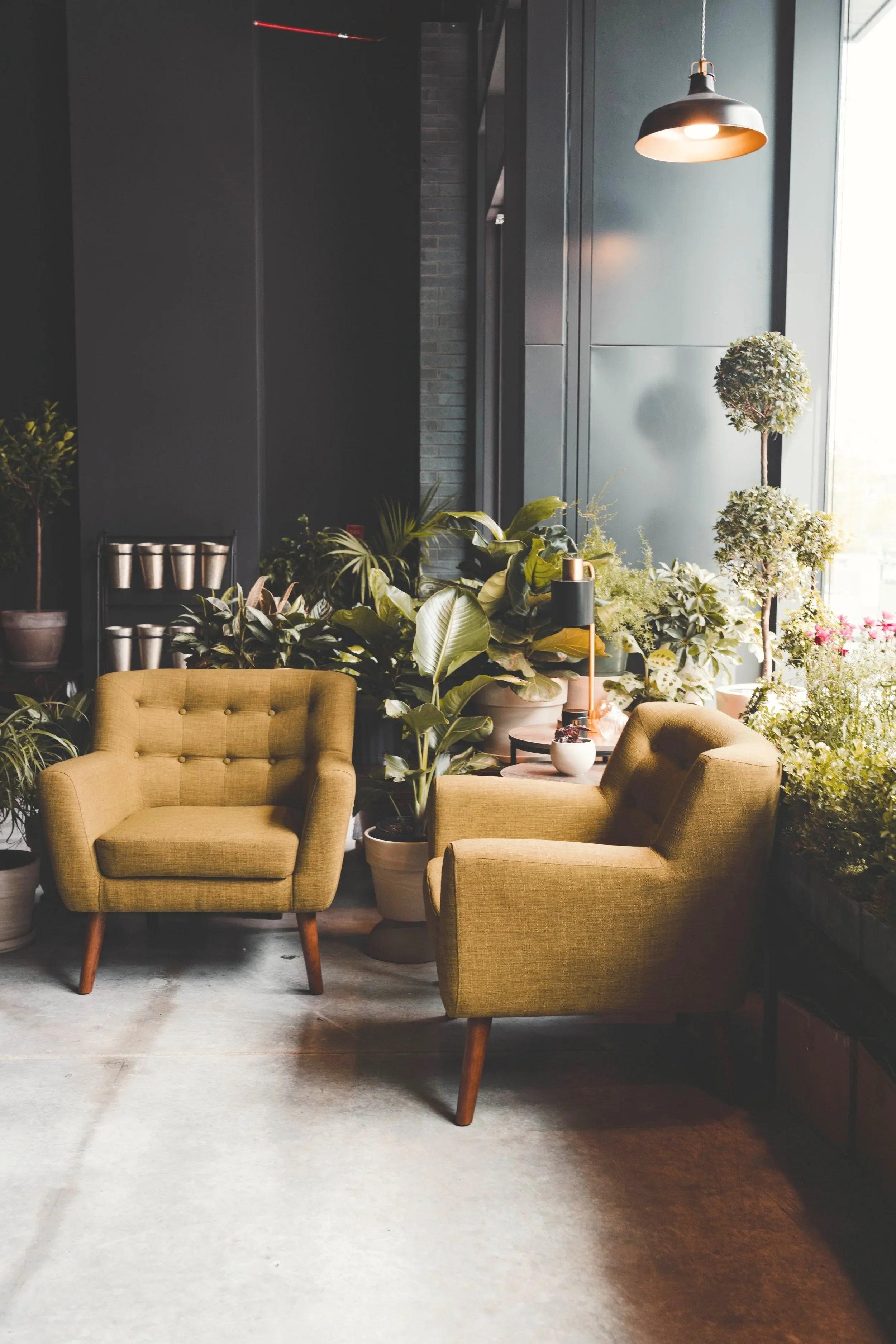 Comfortable reading nook with two yellow armchairs surrounded by a variety of lush green plants, illuminated by natural light from large windows and a black hanging pendant lamp.