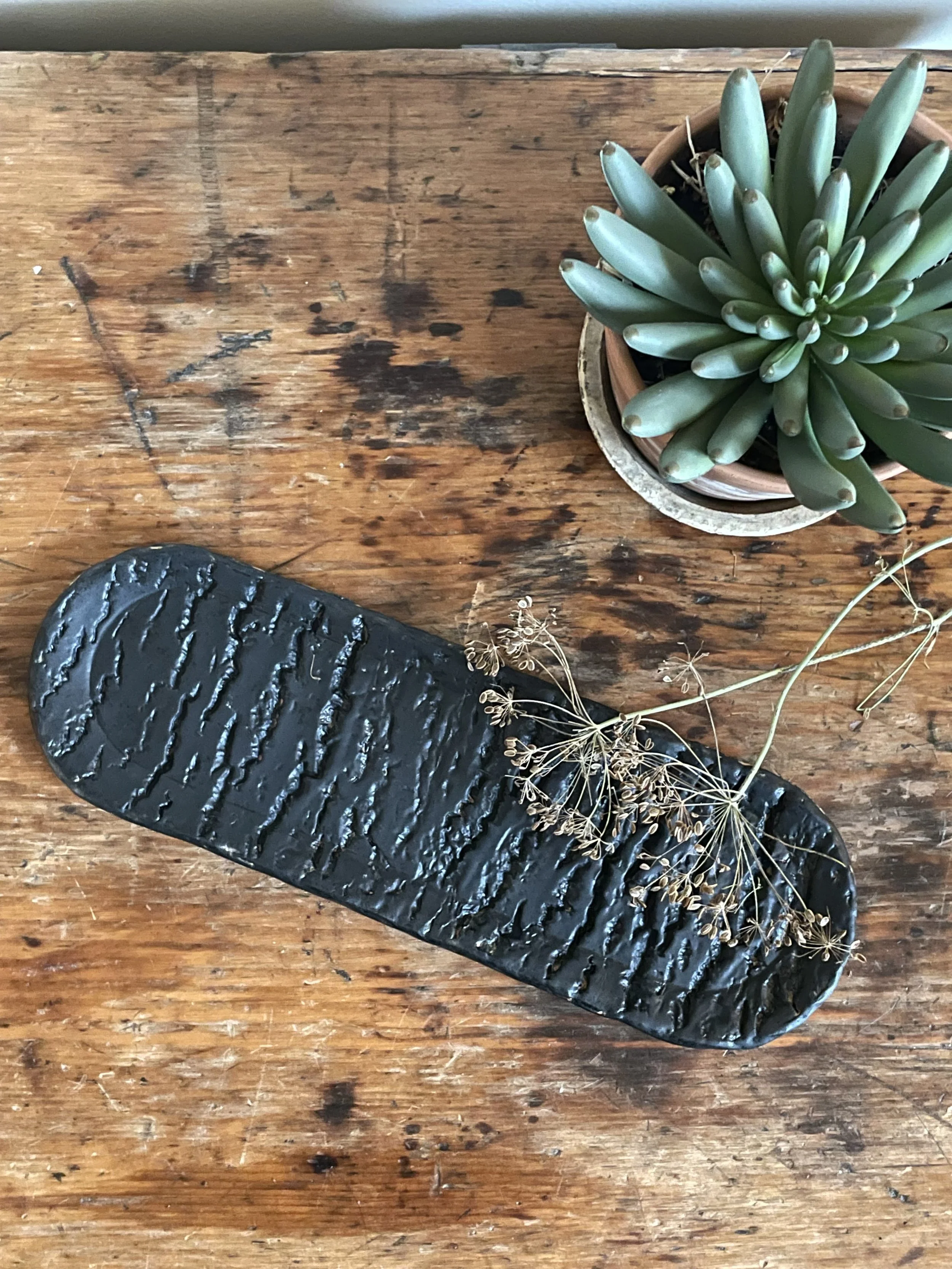 A wooden surface holds a potted succulent plant, a black textured object, and dried flowers.