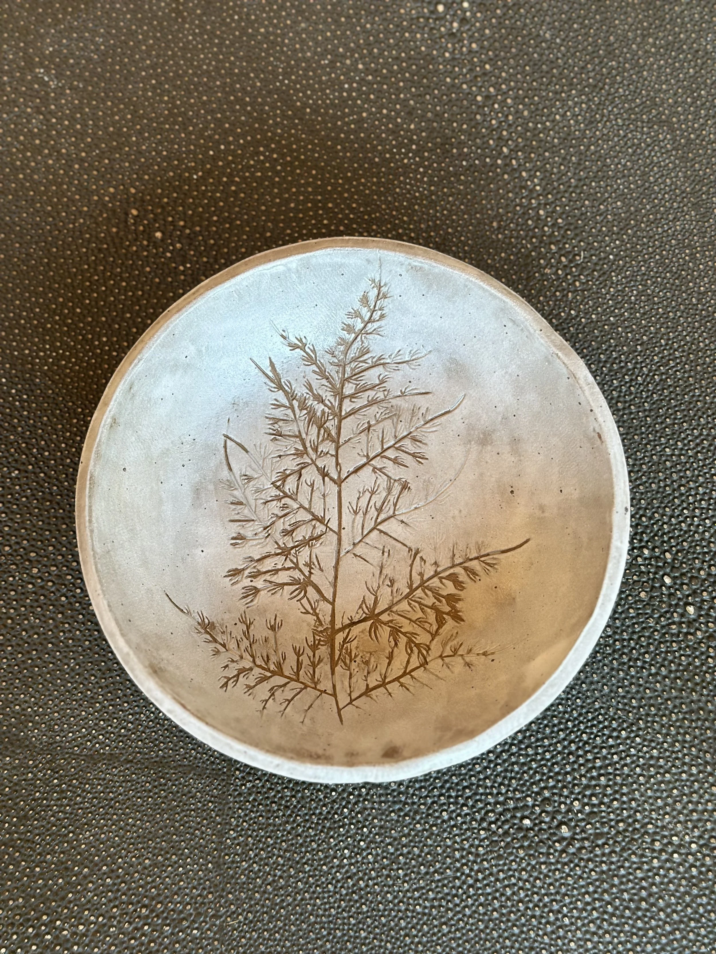 A small, round glass dish with a preserved botanical leaf inside, placed on a textured dark surface.