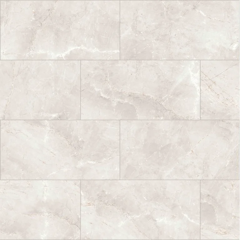SAVINO - 12X24, ARGENT, POLISHED