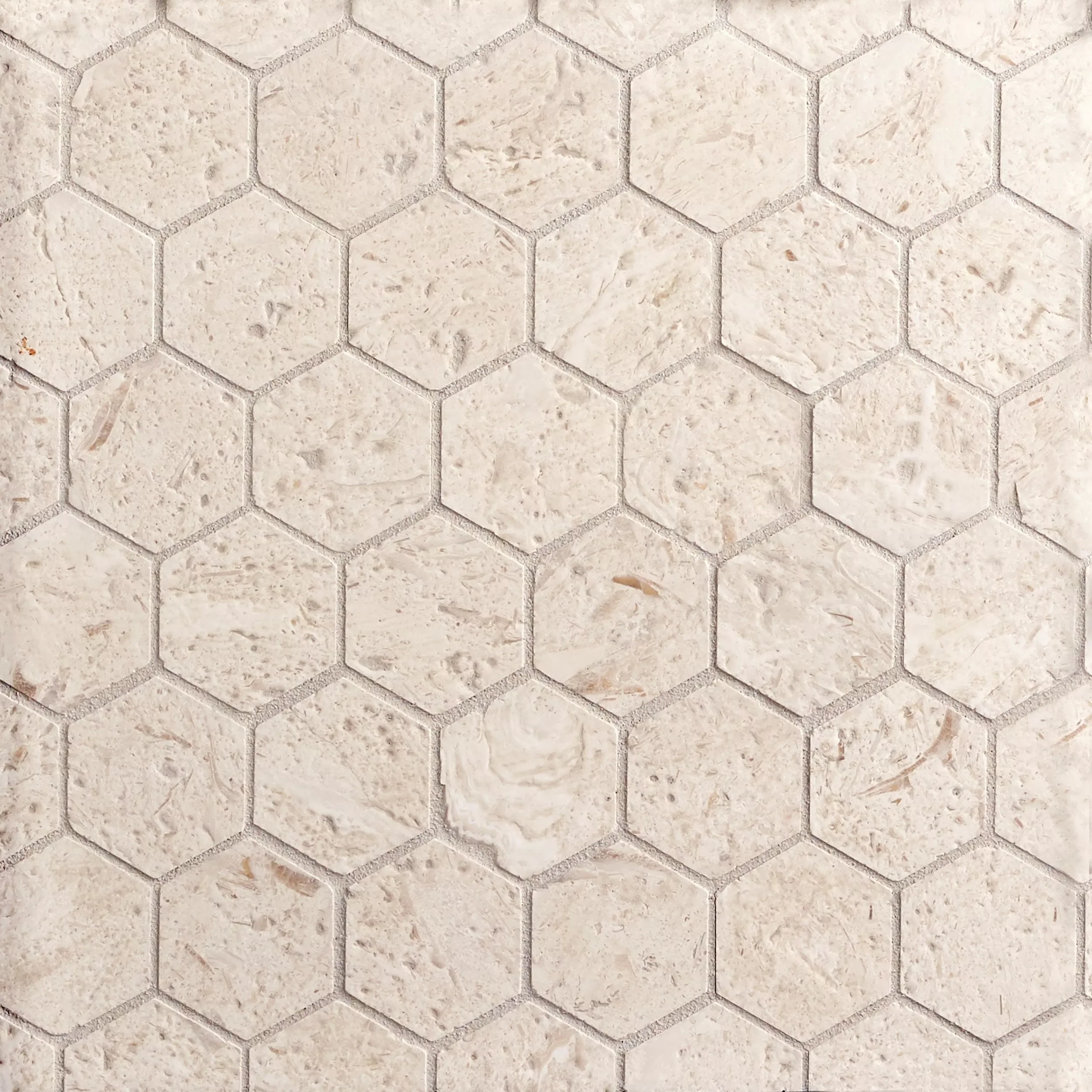 fossil-hexagon-brushed-limestone-mosaic_display.webp