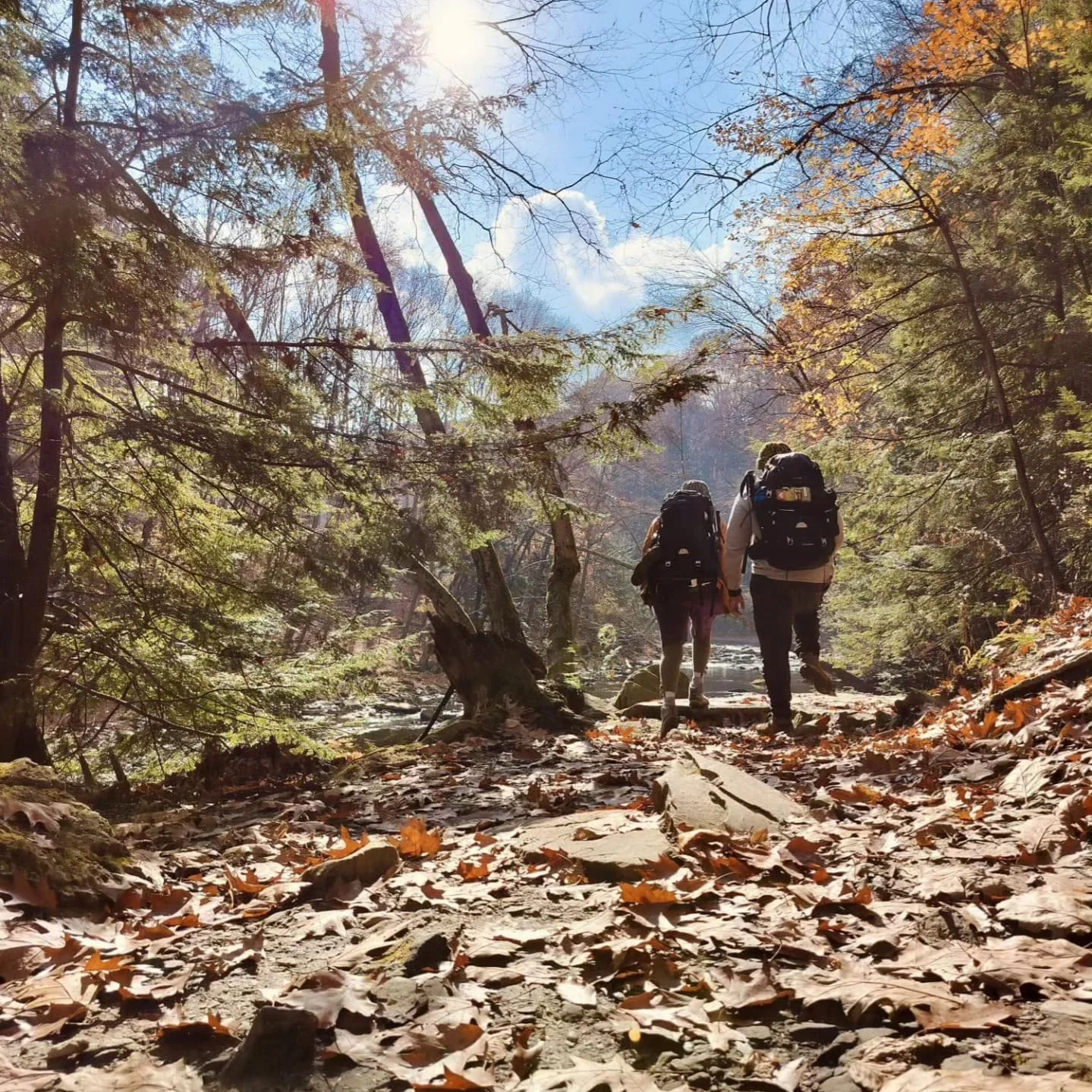 Two hikers with backpacks walking through a wooded trail covered with fallen autumn leaves, under a bright sun and partly cloudy sky.