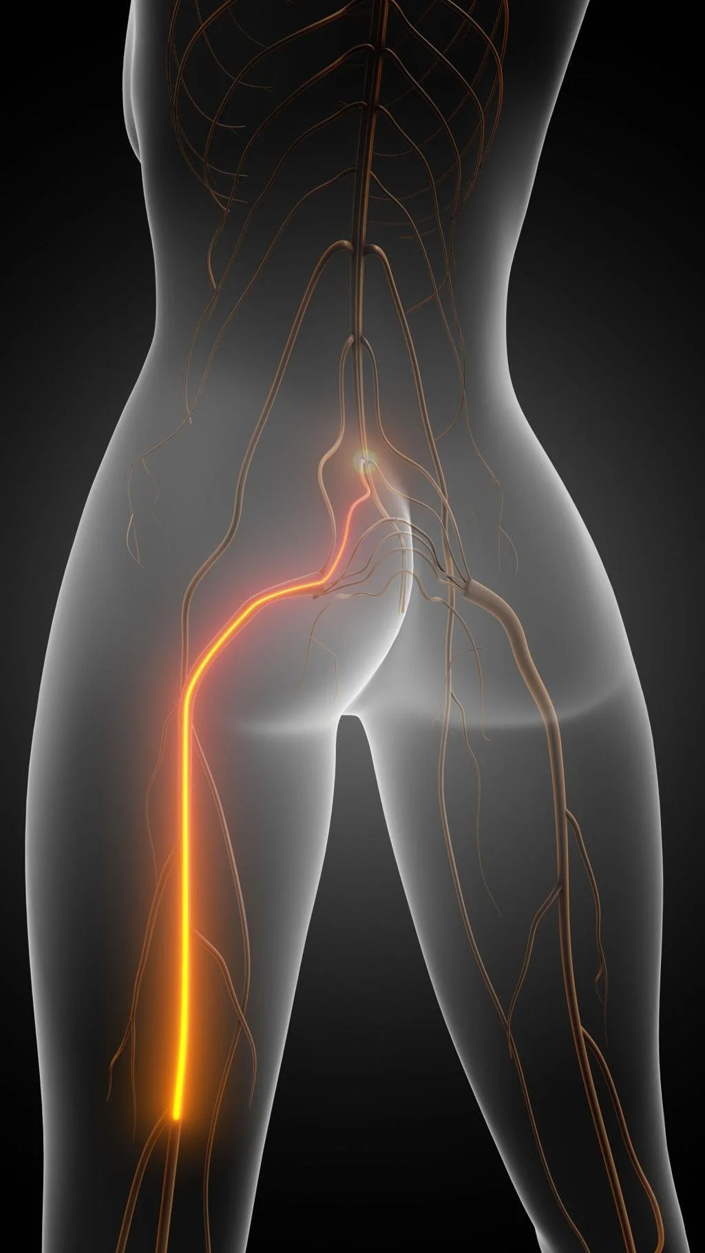 How Chiropractic Care Can Help Relieve Sciatica Pain in Skokie