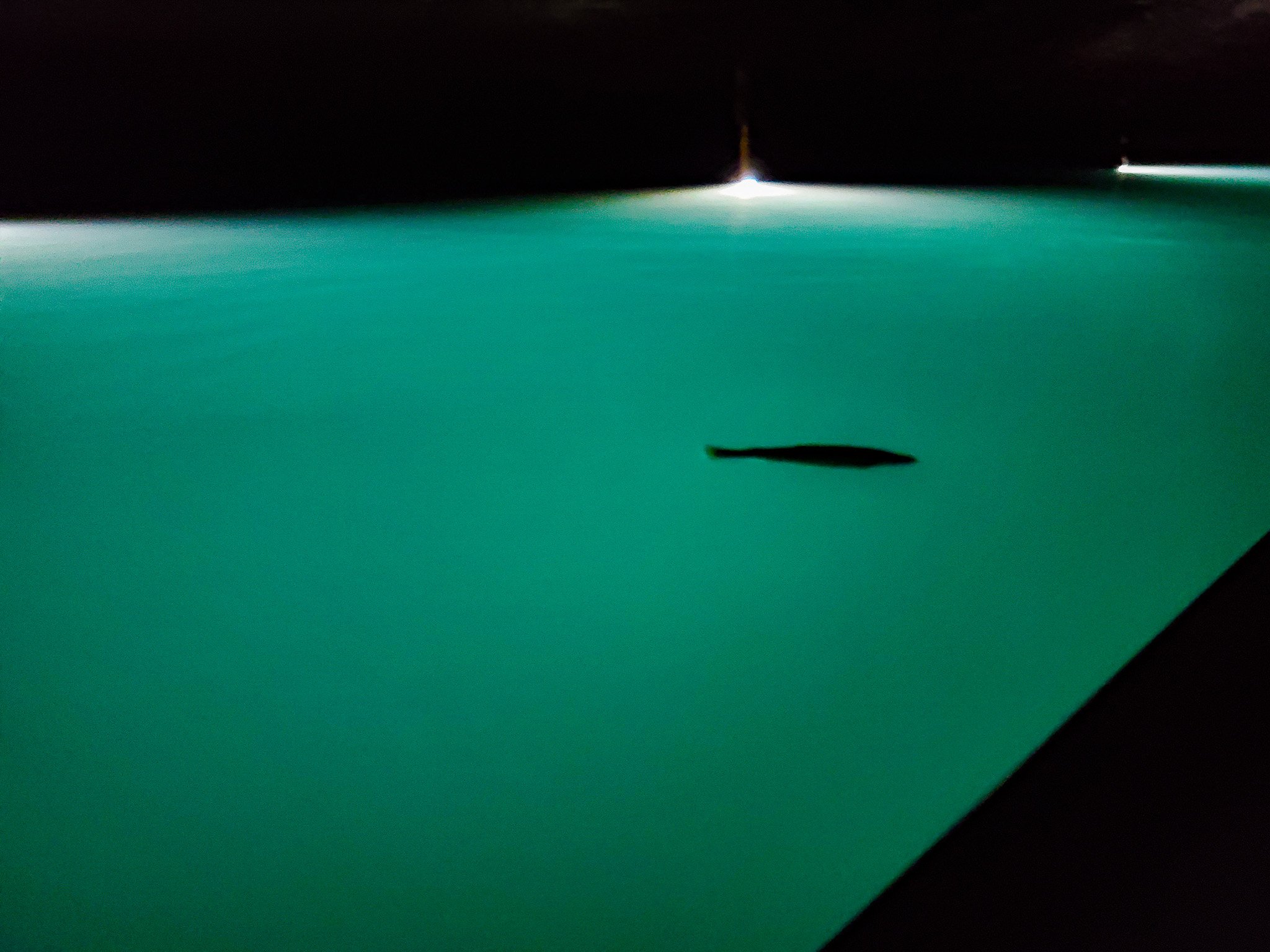 Lost Sea