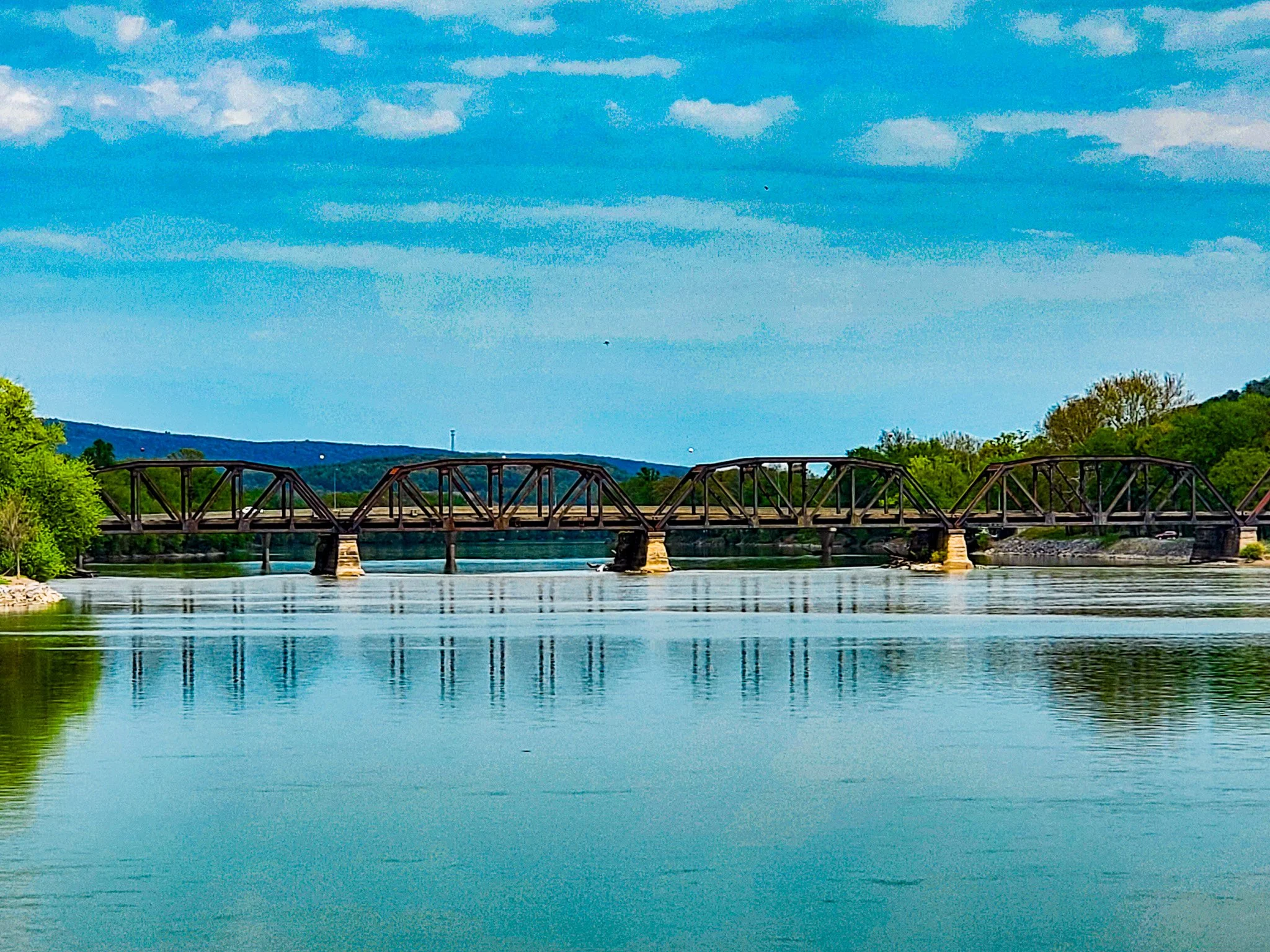 20260424_131243.jpg