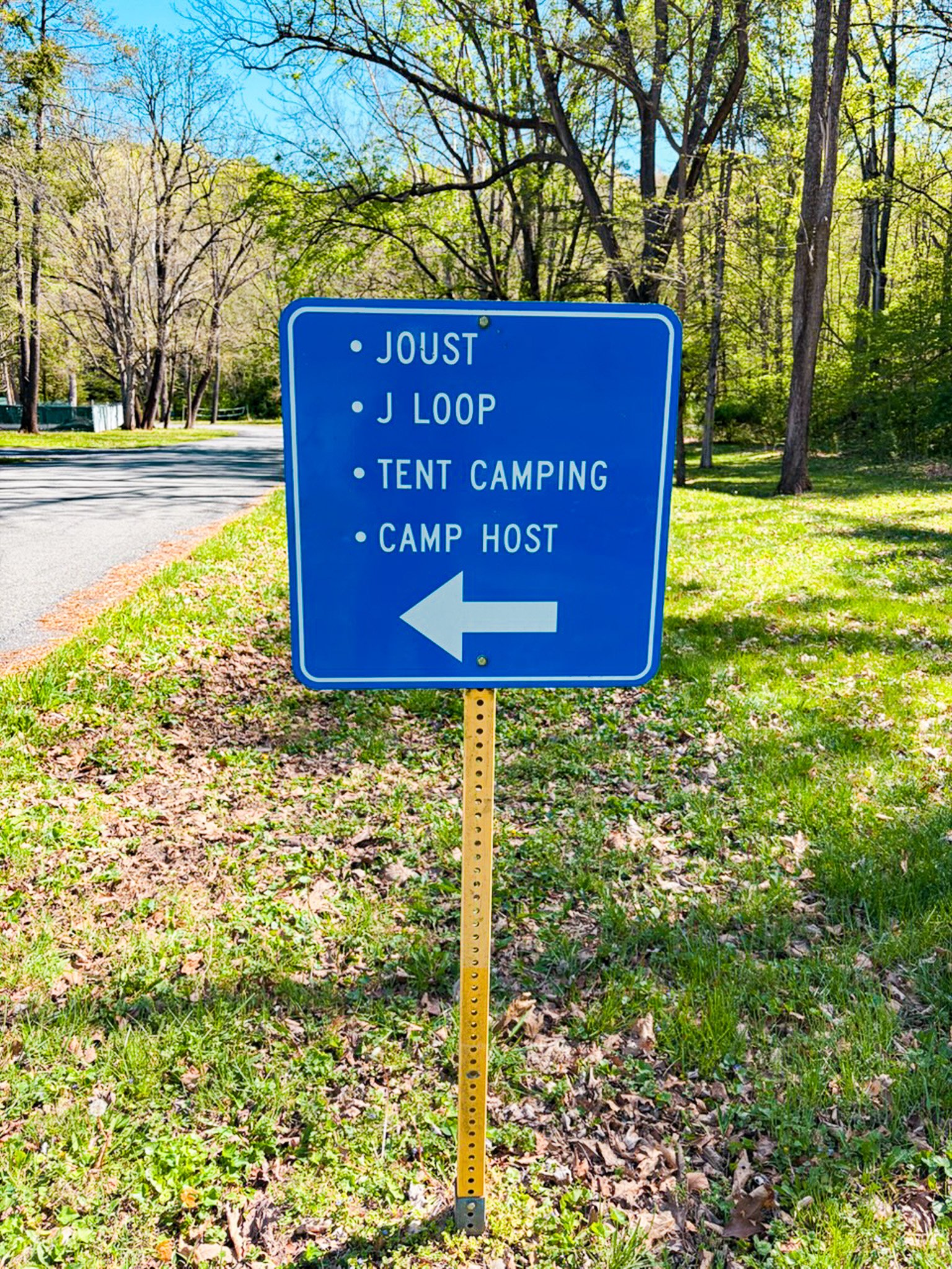 Jousting sign Mt Solon VA.jpg