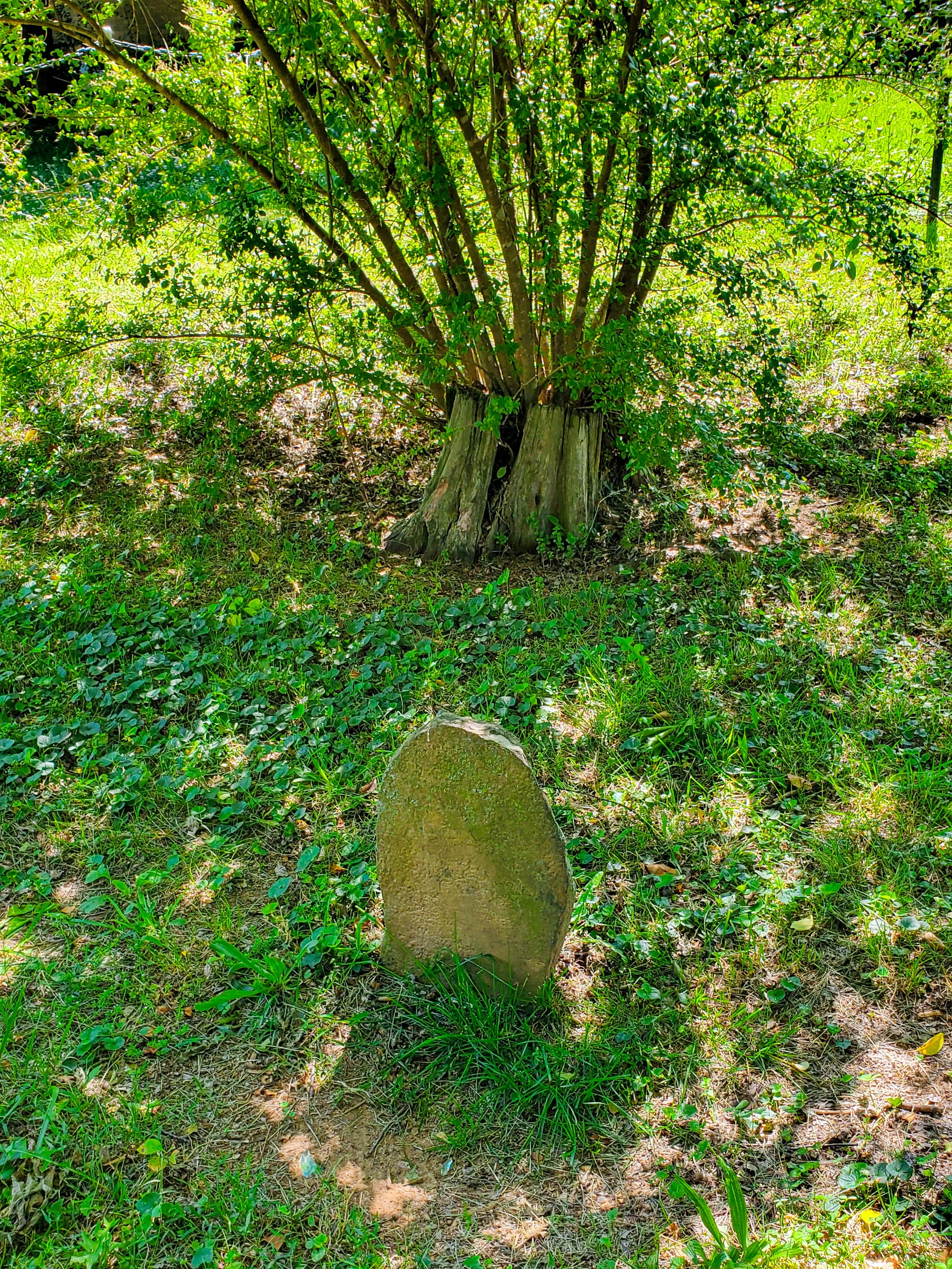 Willstown Mission Cemetery 