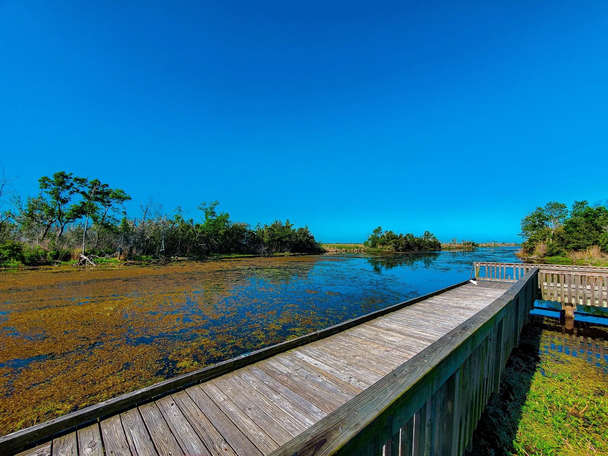 Bayou Sauvage Urban National Wildlife Refuge
