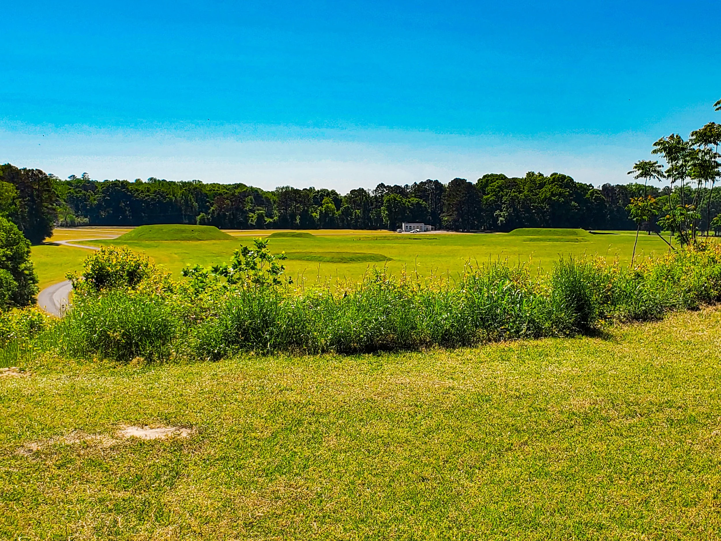 Moundville