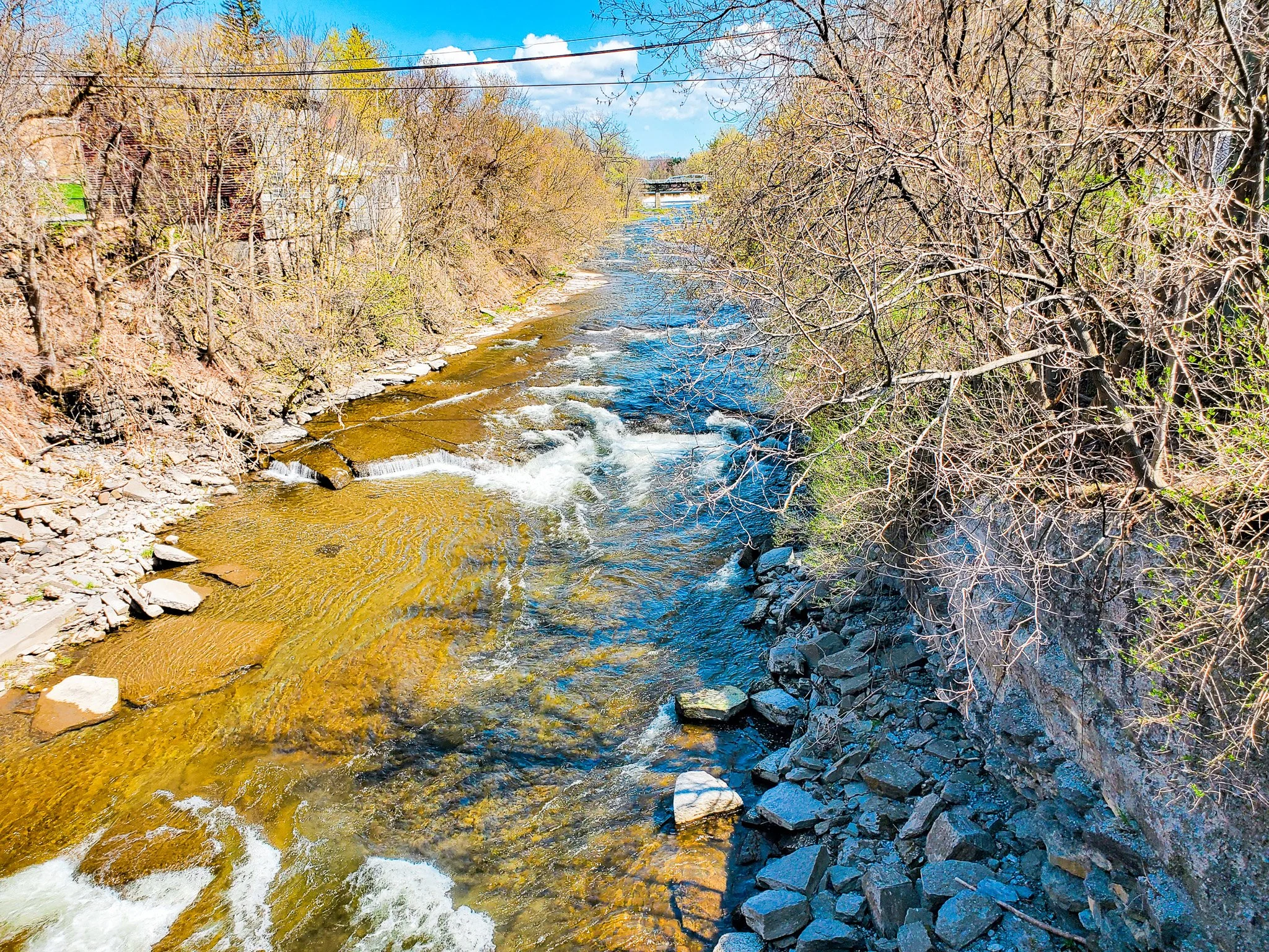 River beside Belloff_s Dept Store Adams NY.jpg
