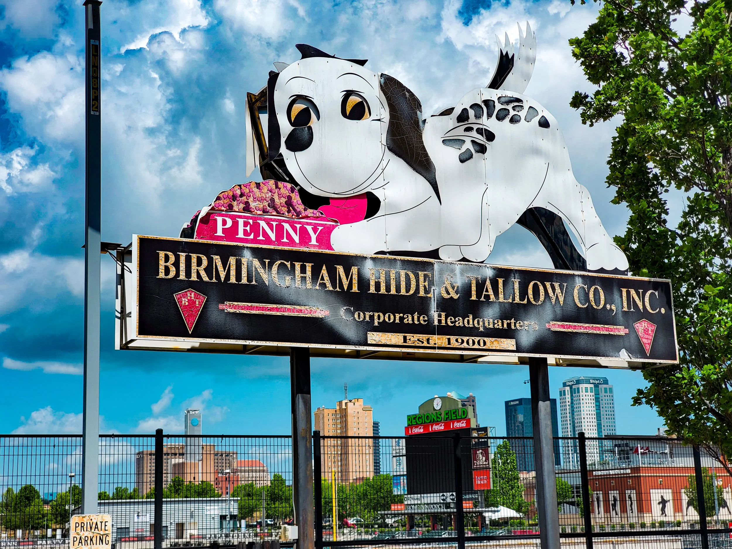 Penny the Dog - Regions Field