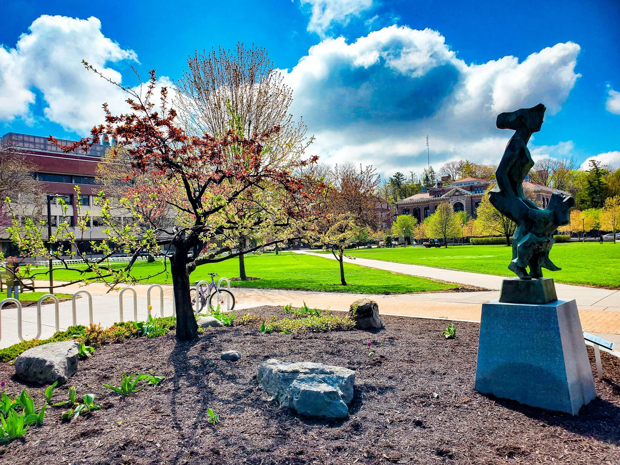 Forty Fruit Tree Syracuse NY.jpg