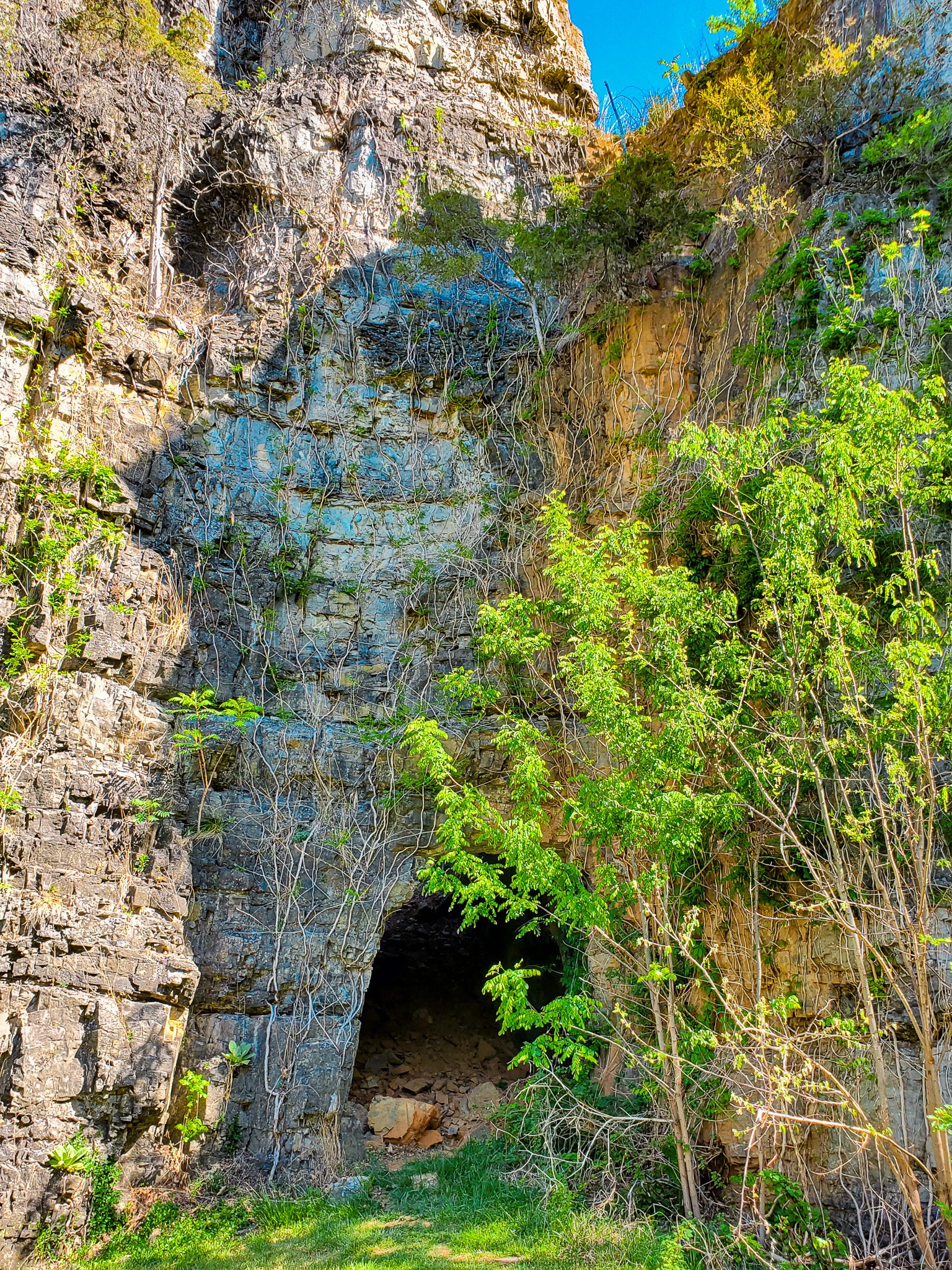 Chimney and cave Mt Solon VA.jpg