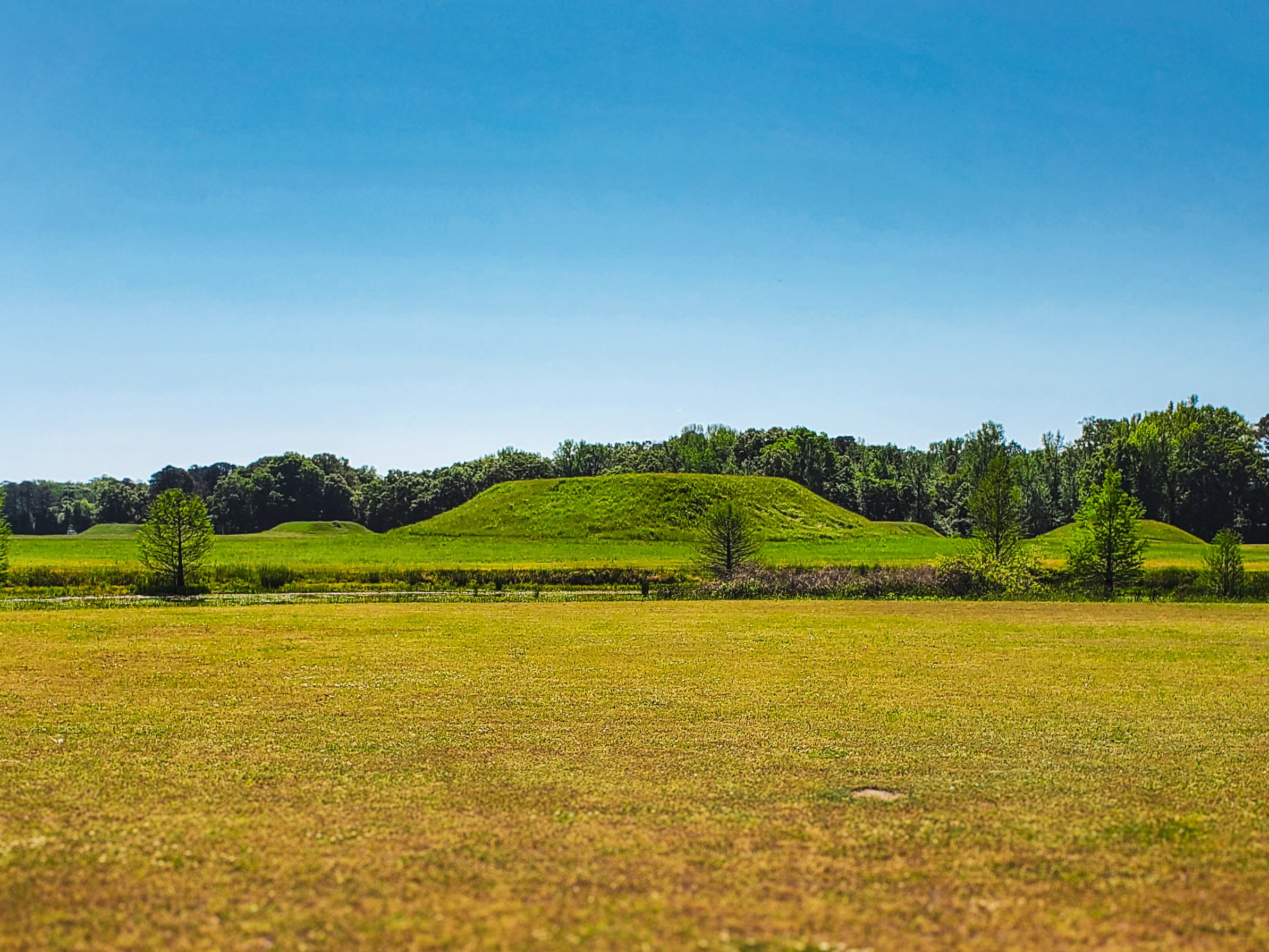 Moundville mounds distance.jpg