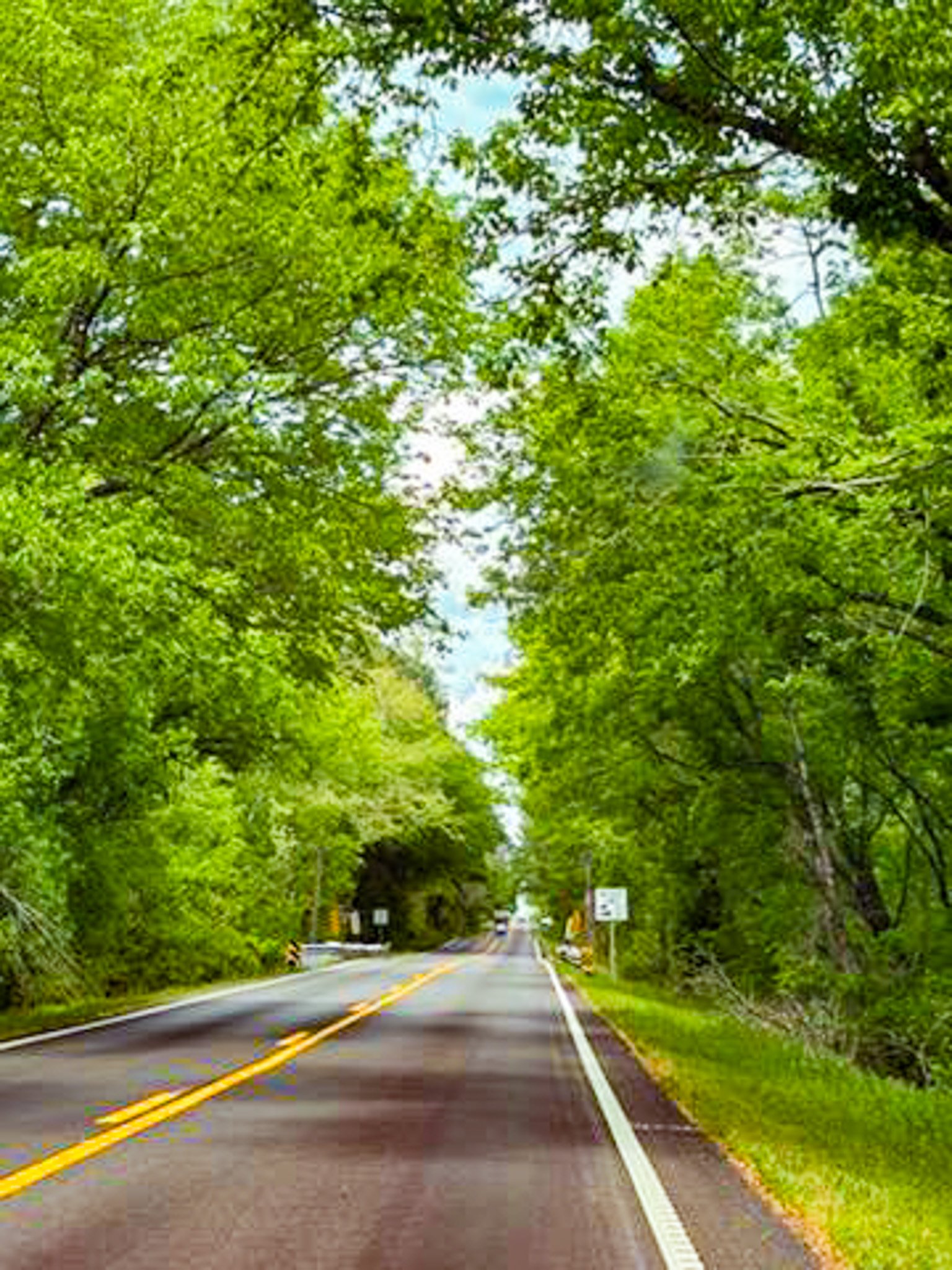 Roadway through McDonald