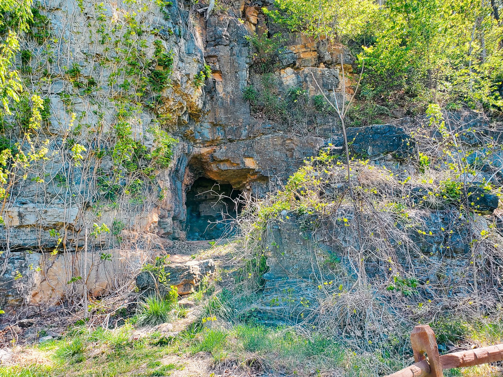 Cave in chimney Mt Solon VA.jpg