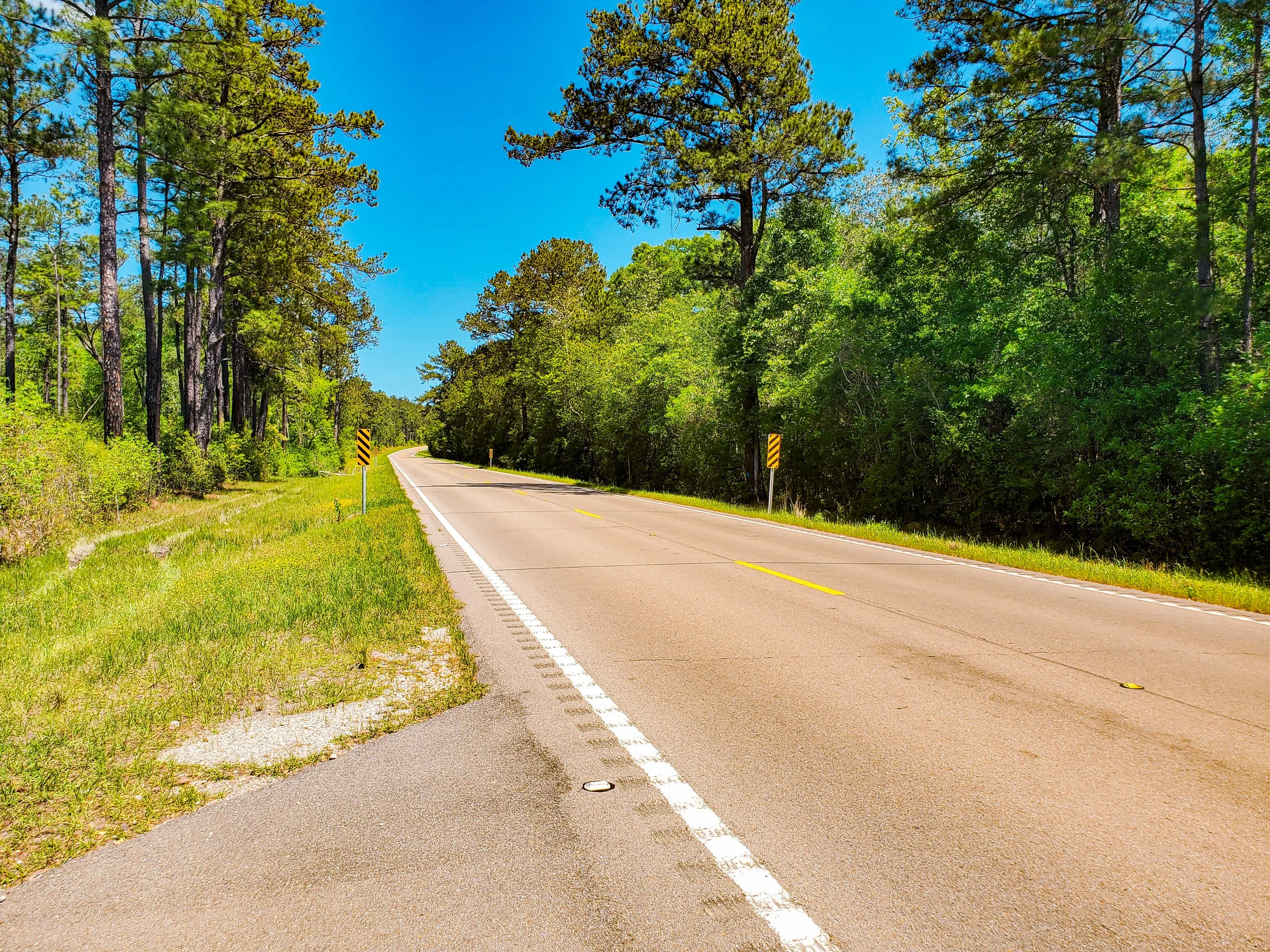 Mississippi highway with trees.jpg