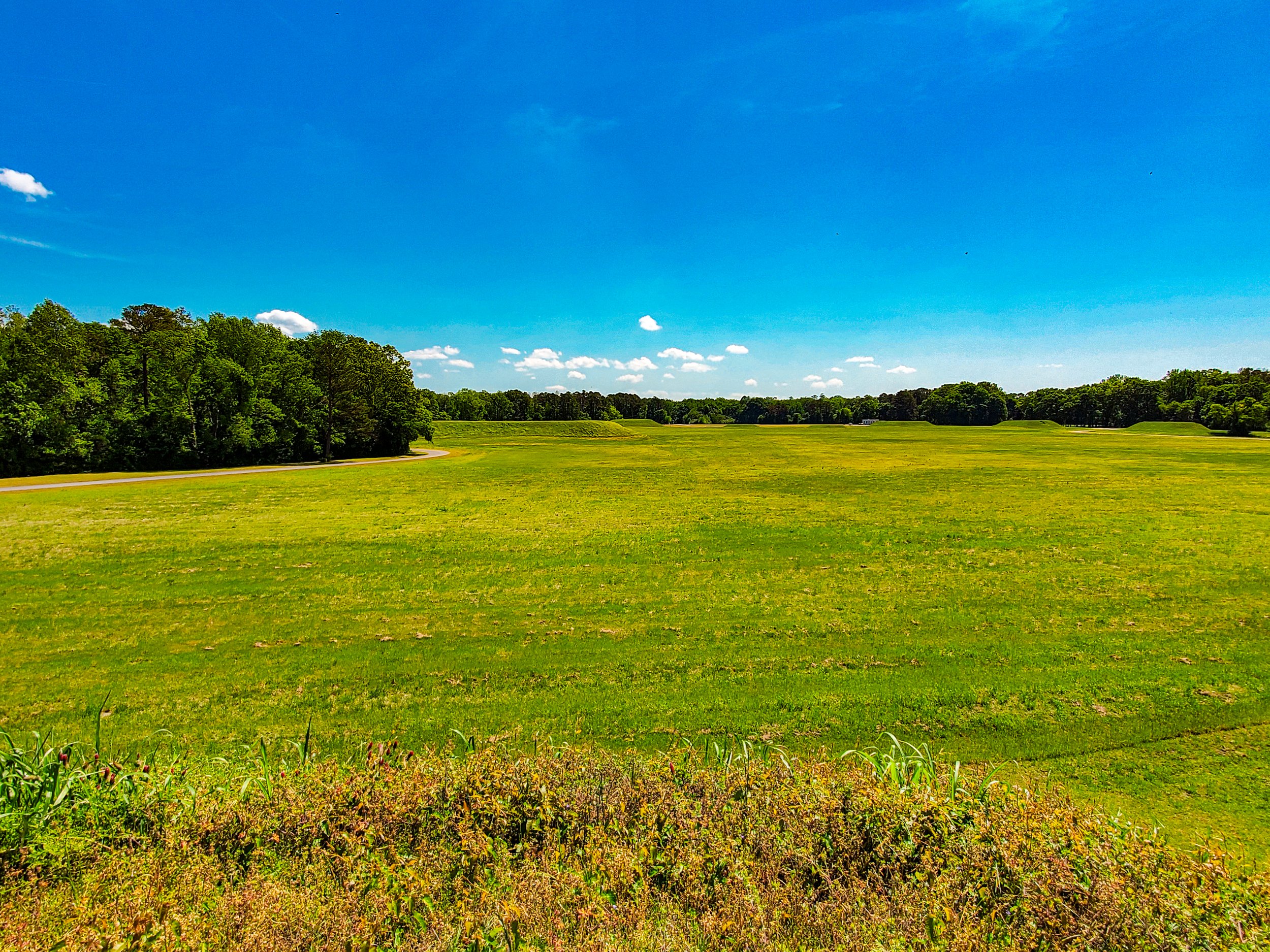 Moundville