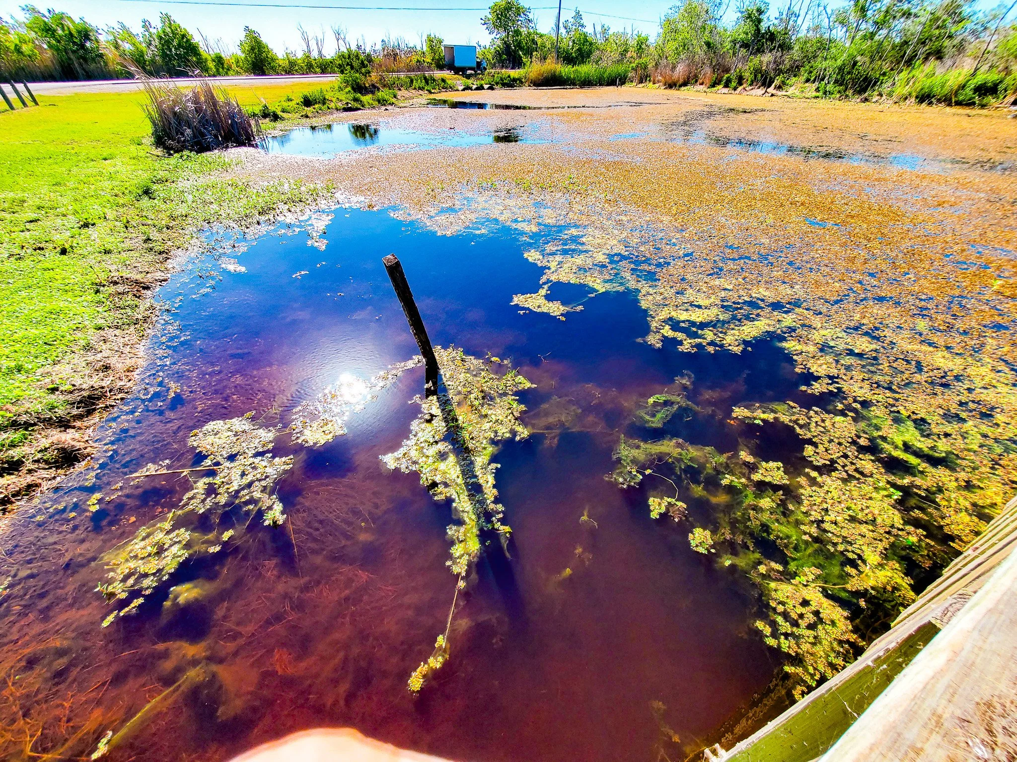 Bayou Sauvage Urban National Wildlife Refuge