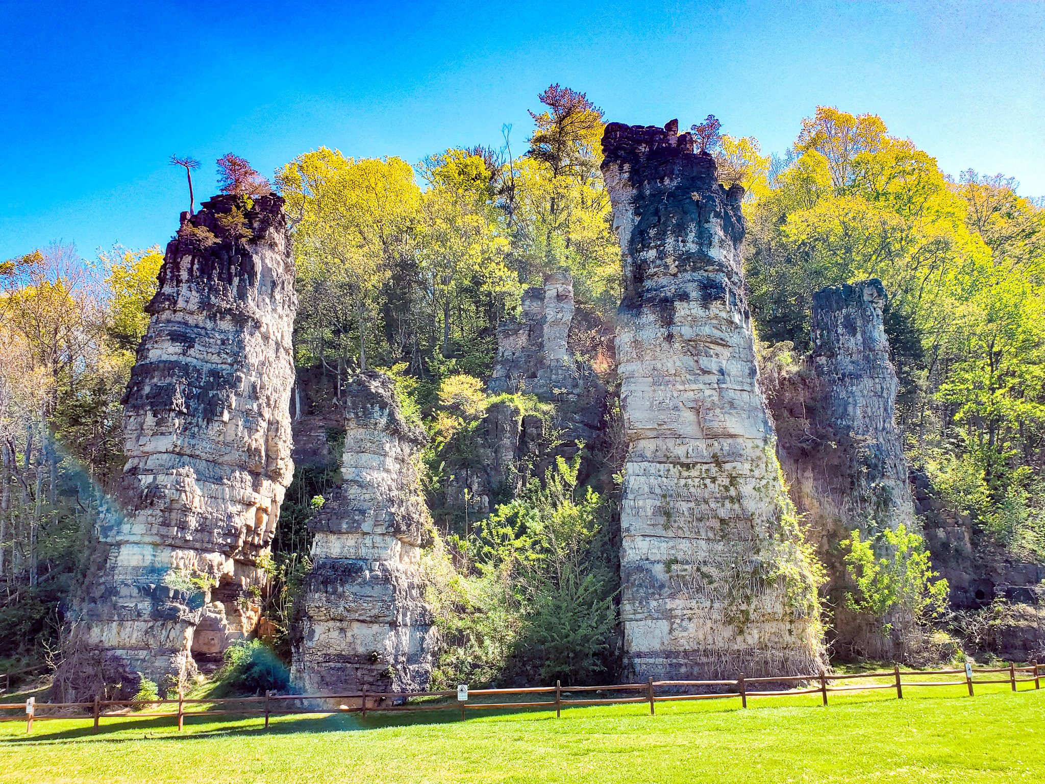 Chimneys 6 Mt Solon VA.jpg