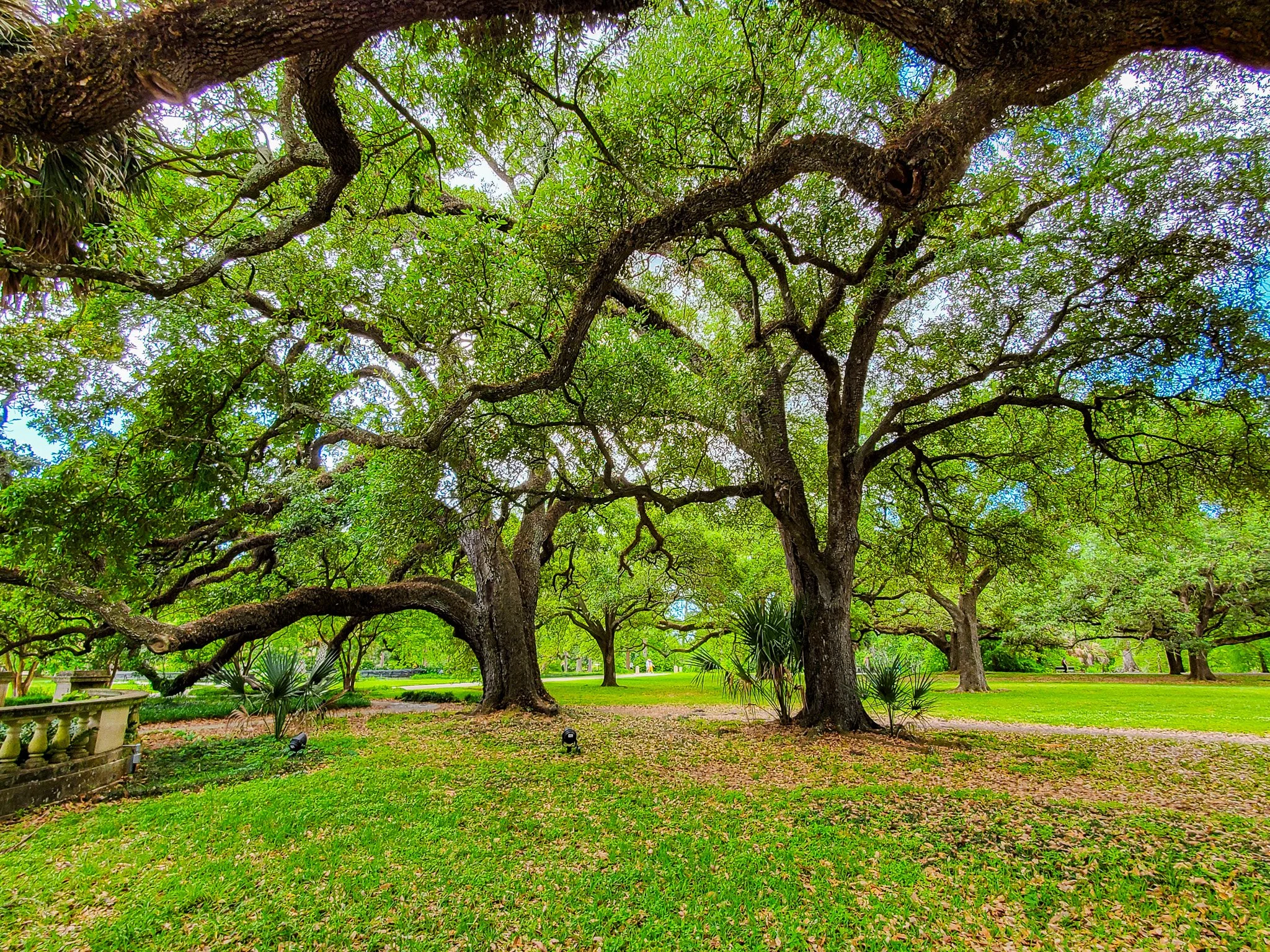 Audubon Park and Zoo