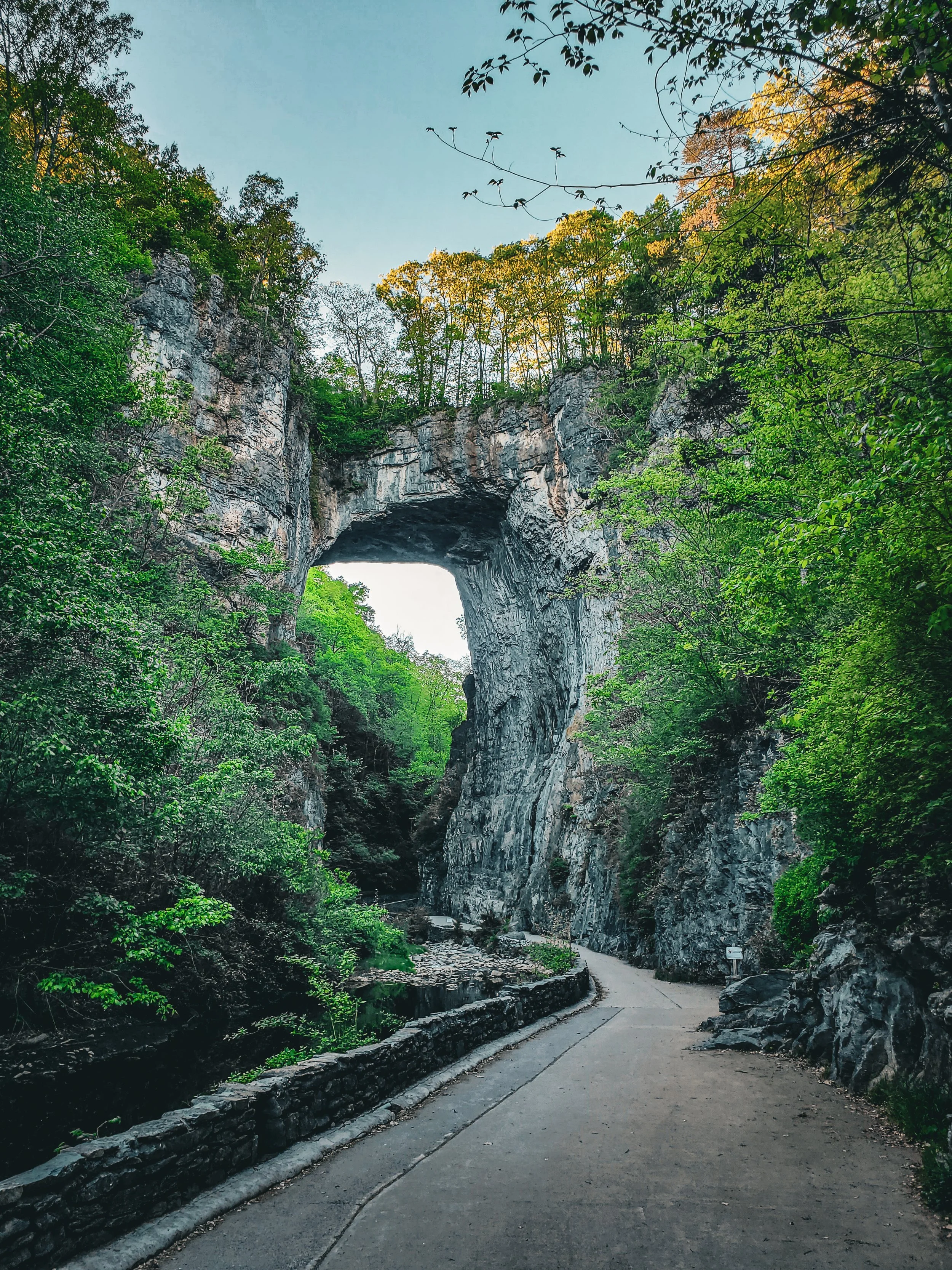 Arch 8 Natural Bridge Va.jpg