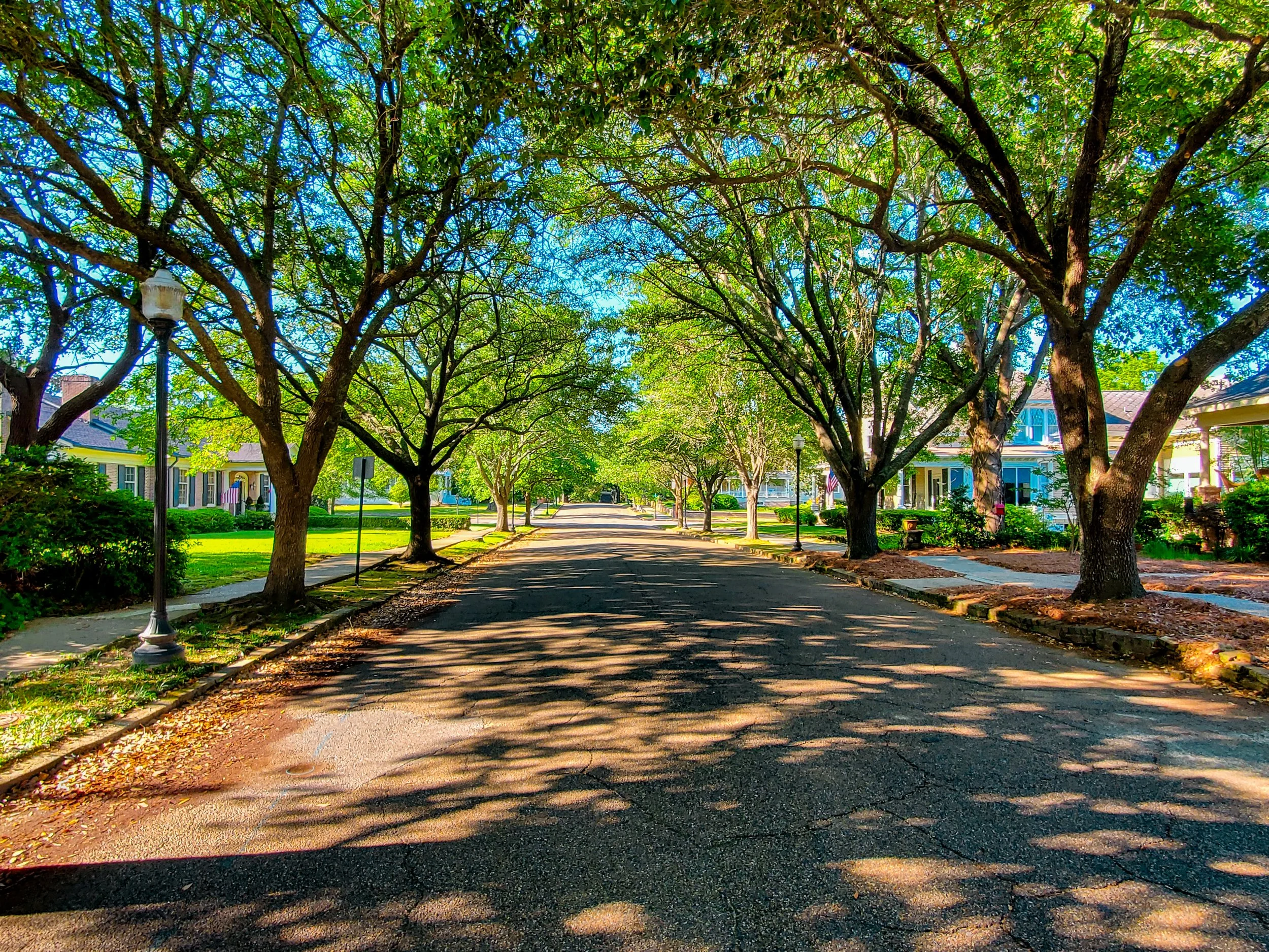 Laurel Street