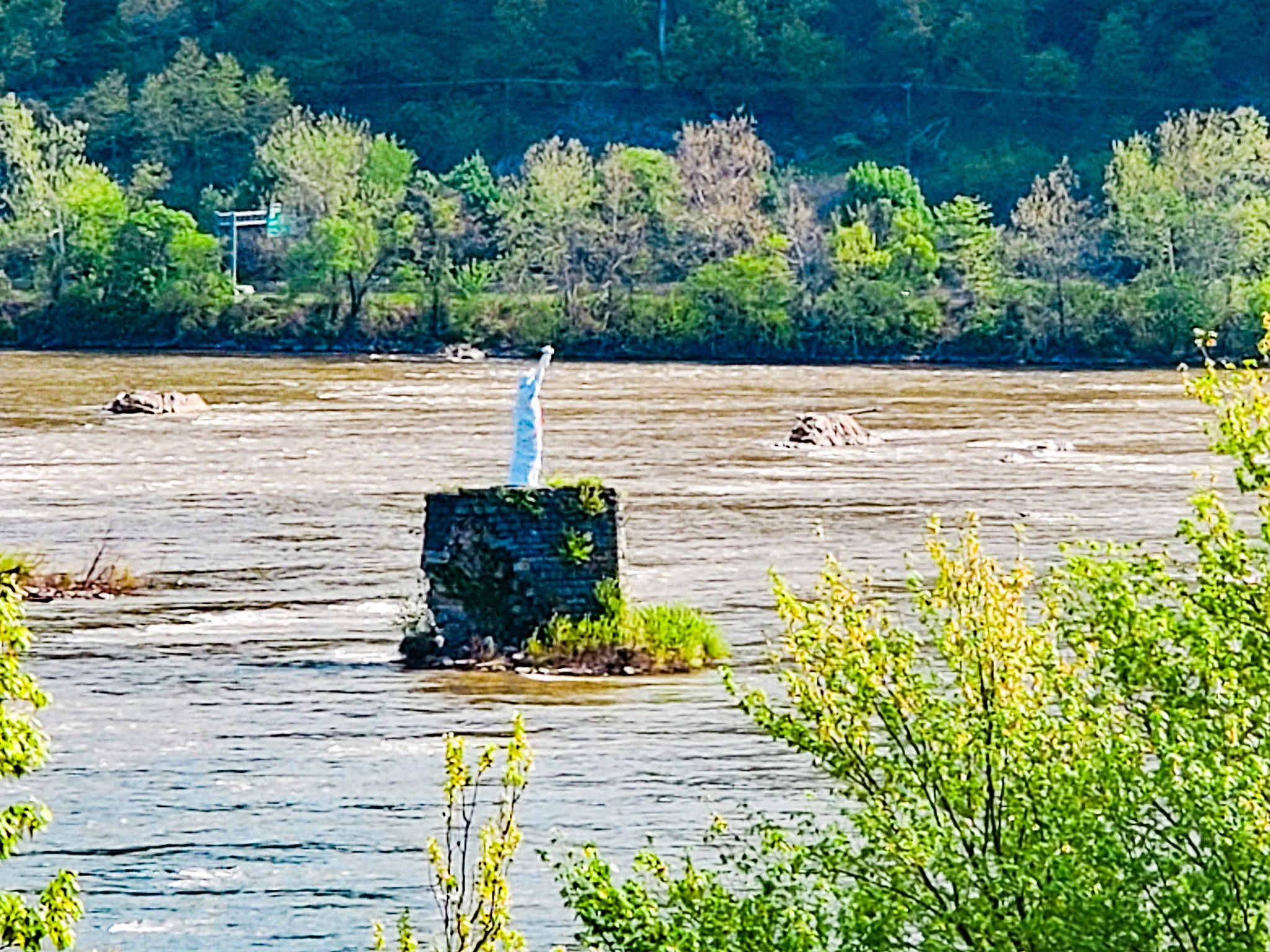 Statue of Liberty near Marysville PA.jpg
