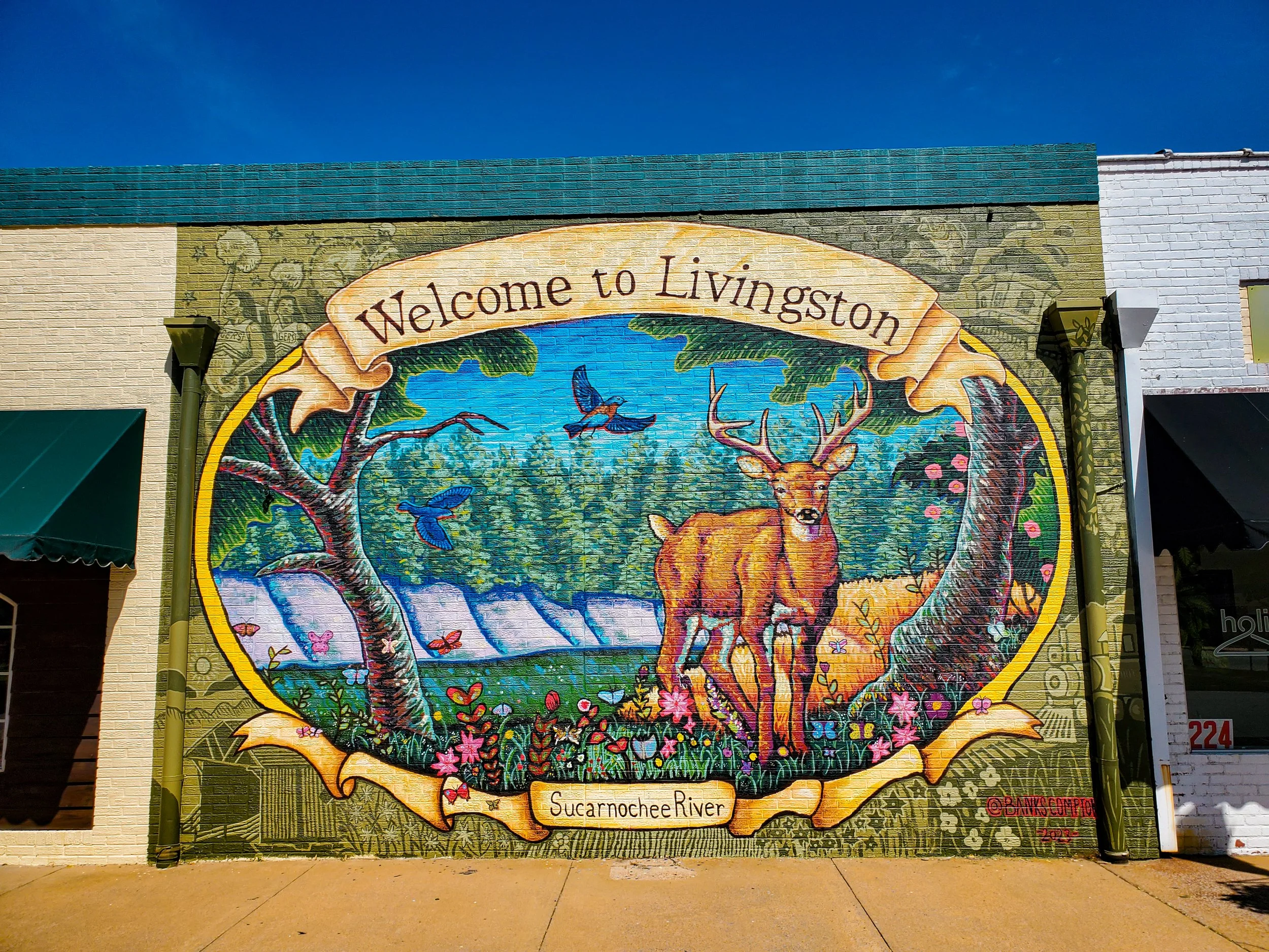 Welcome to Livingston Mural