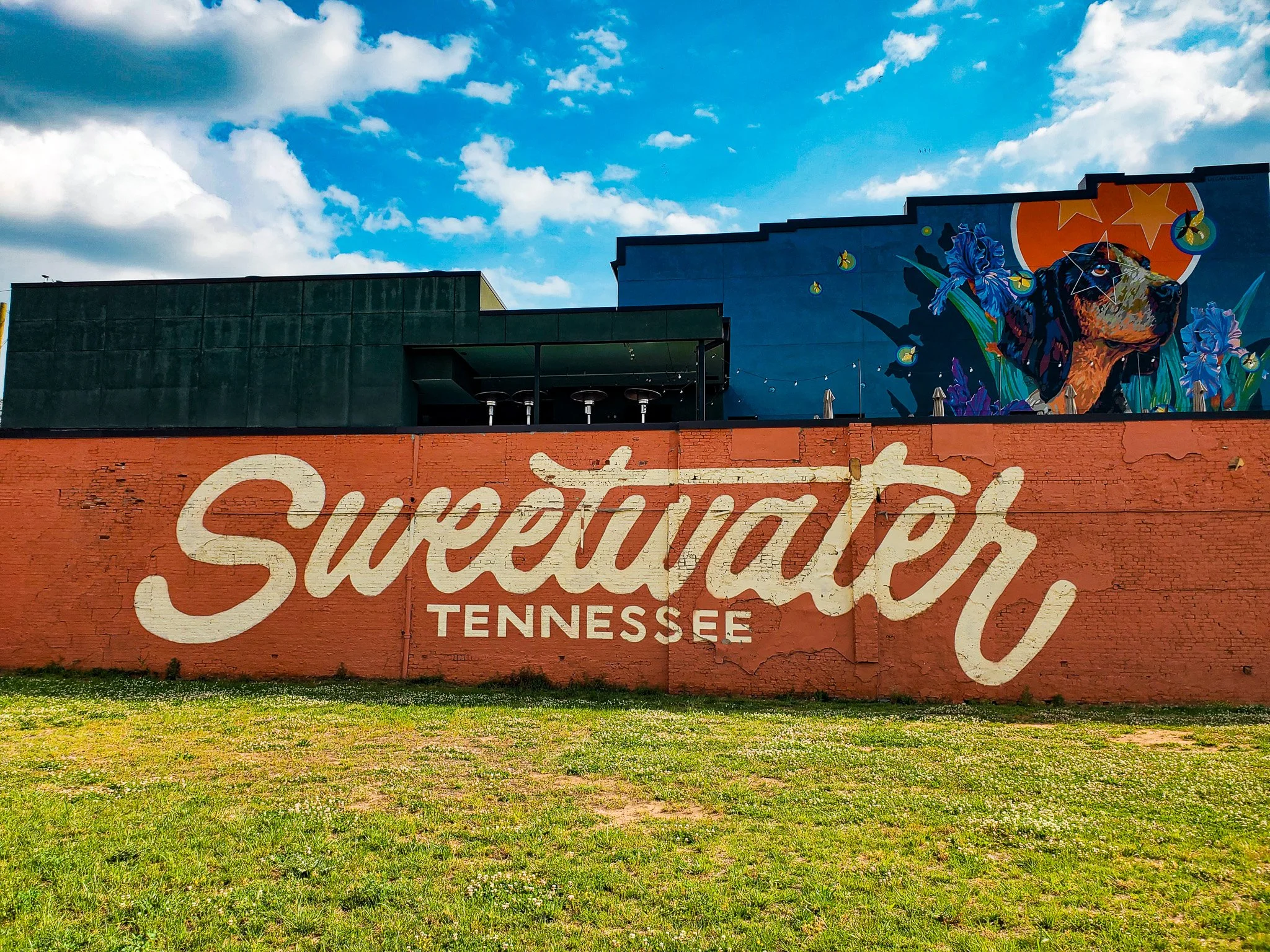 Sweetwater Mural