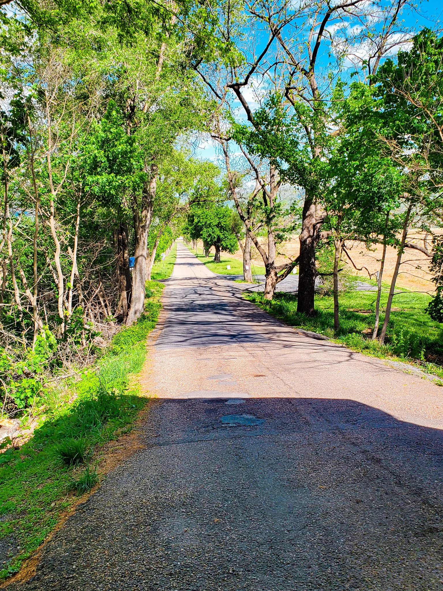 Road to Meems Bottom Covered Bridge Mt Jackson.jpg