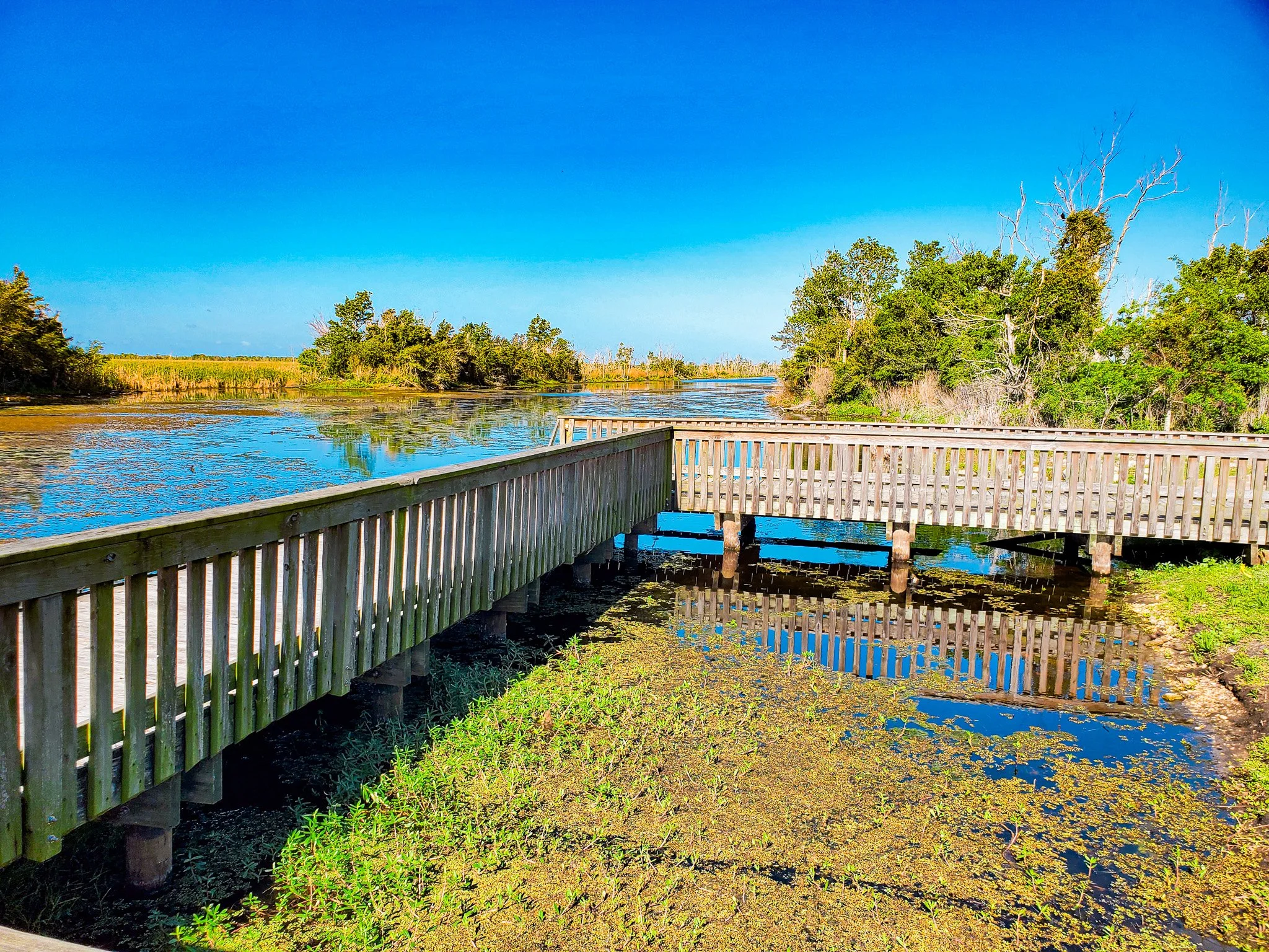 Bayou Sauvage Urban National Wildlife Refuge