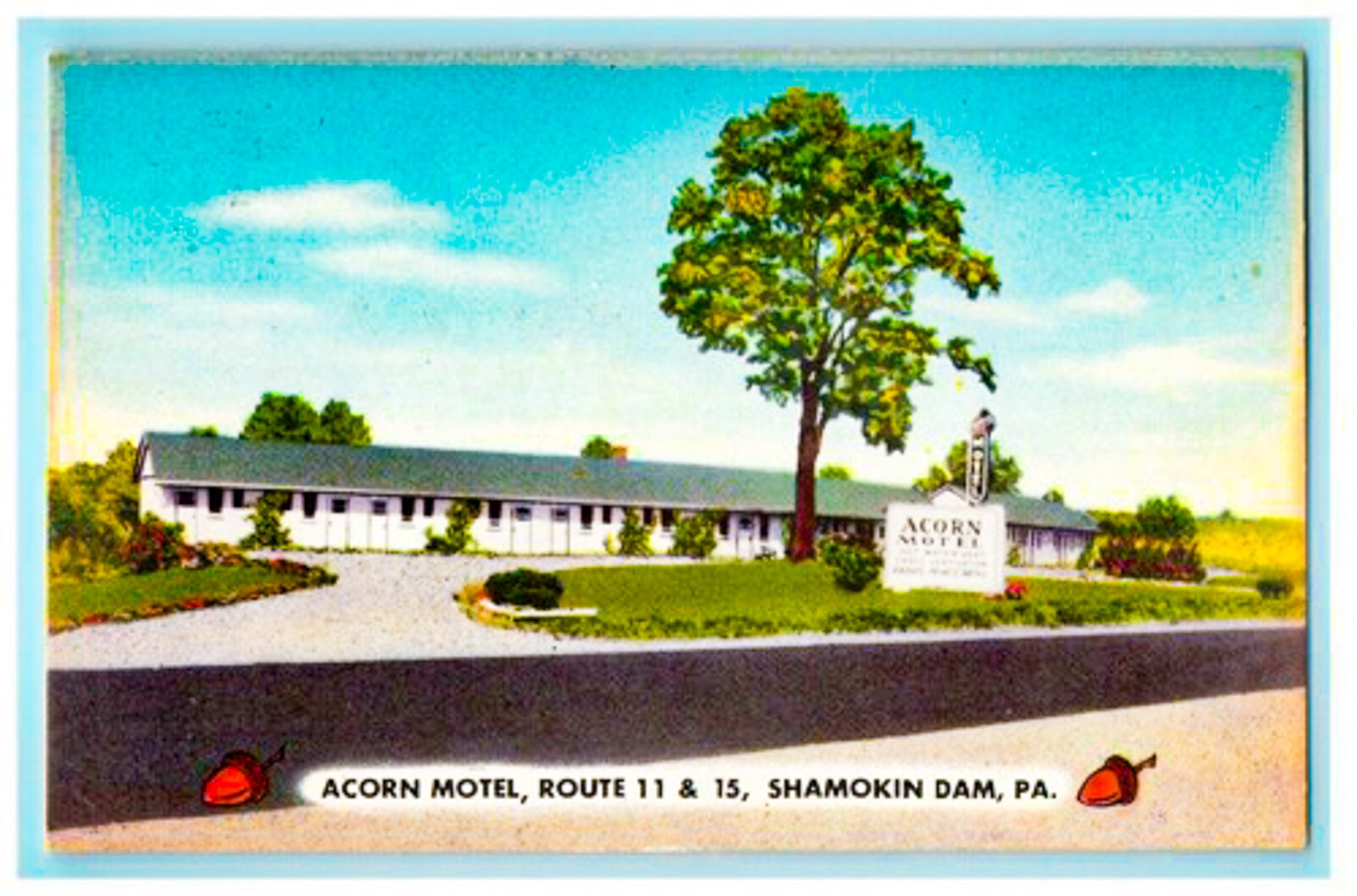 Acorn Motel postcard Shamokin Dam PA.jpg