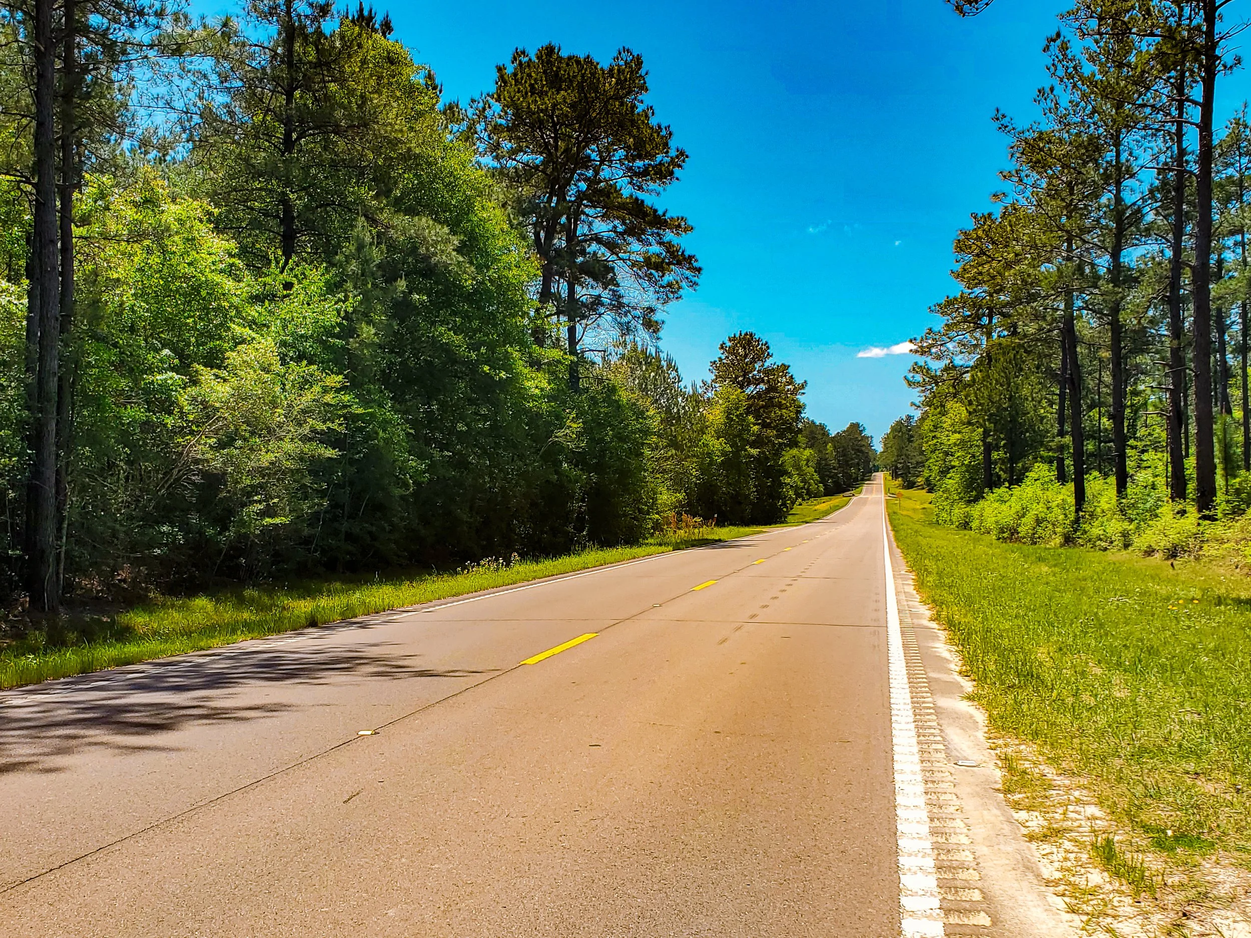 Mississippi highway with trees 2.jpg